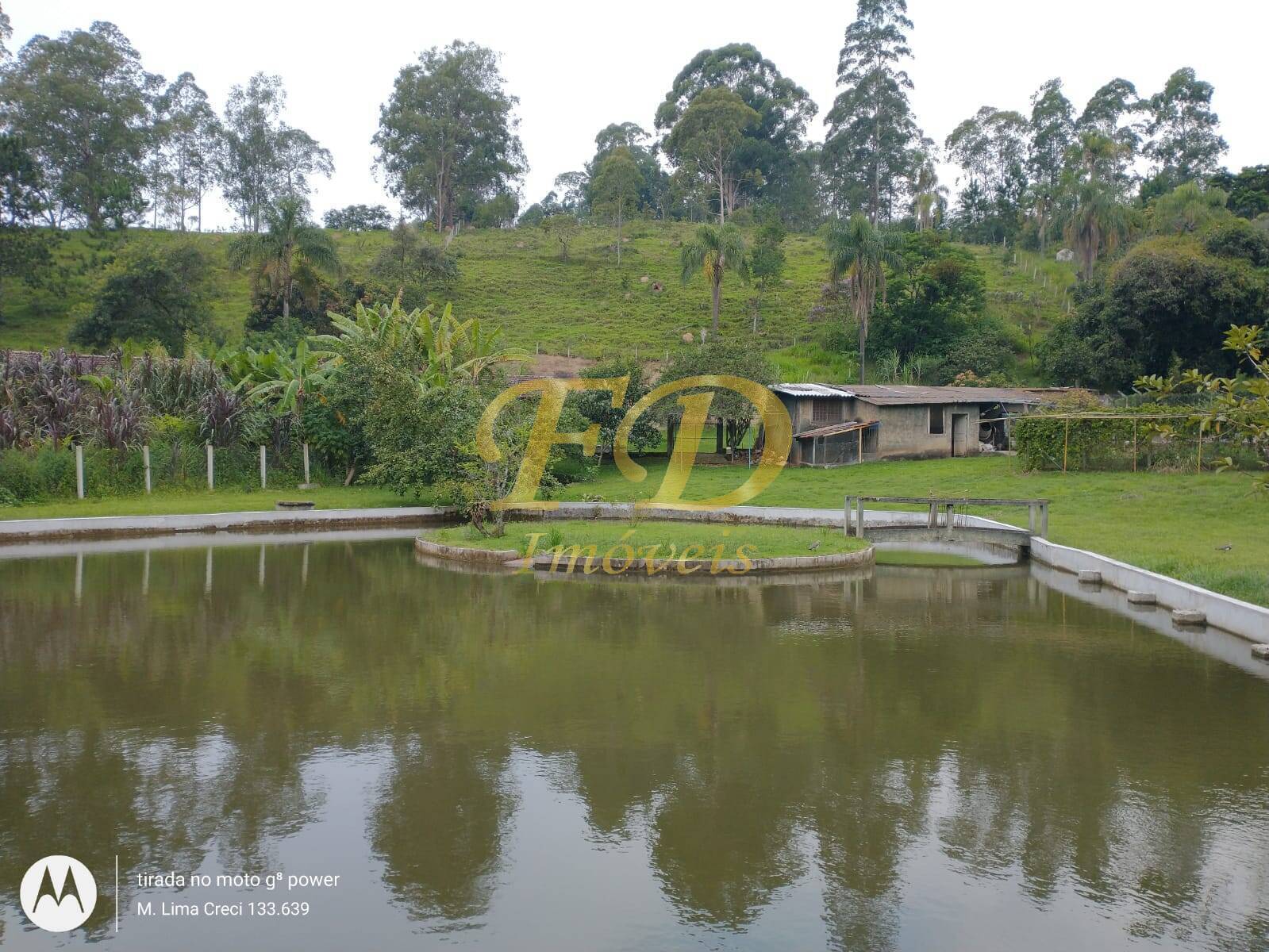 Fazenda à venda com 5 quartos, 500m² - Foto 31