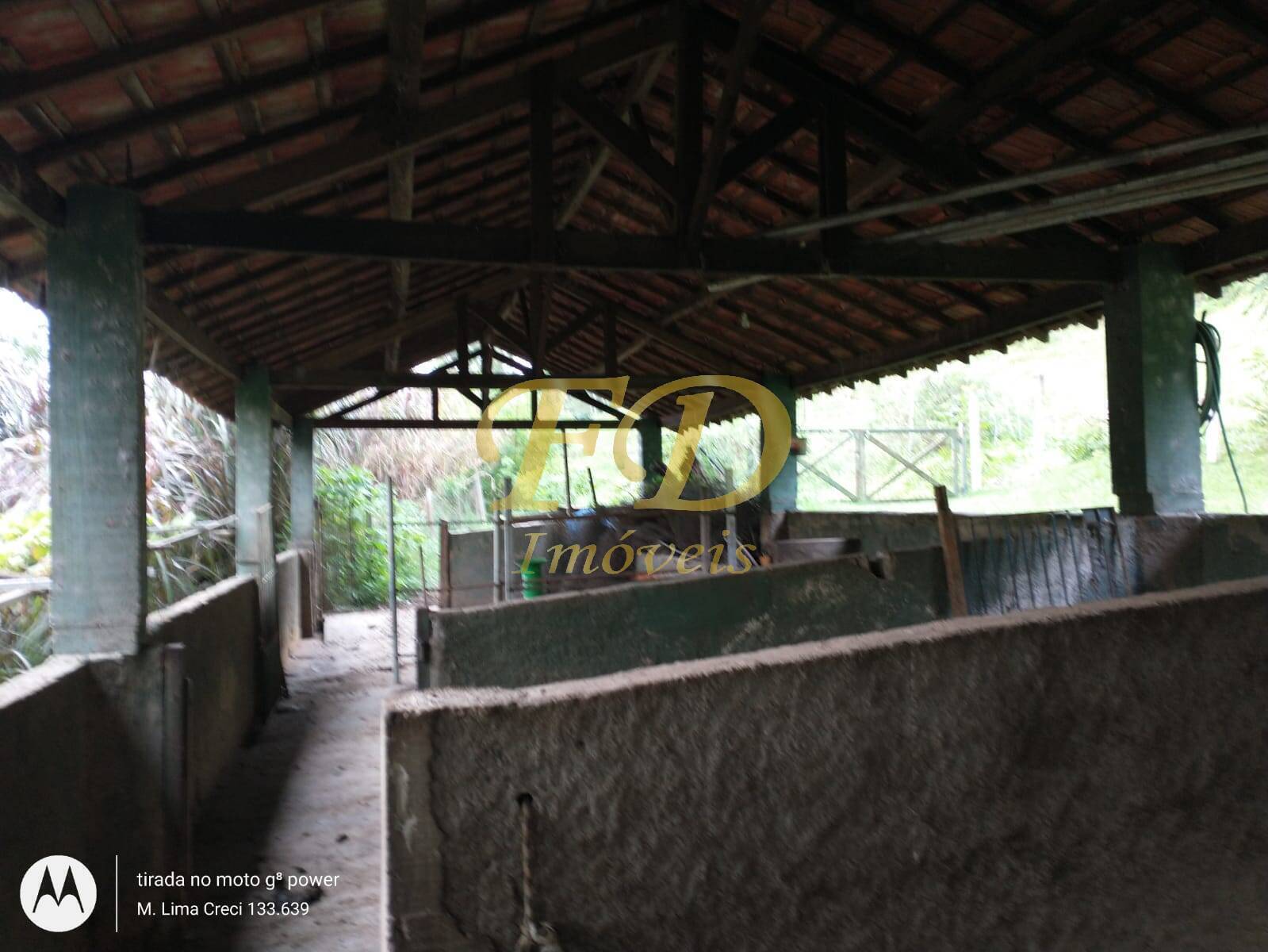 Fazenda à venda com 5 quartos, 500m² - Foto 41