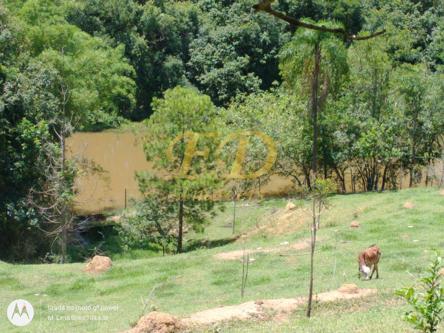 Fazenda à venda com 5 quartos, 22000m² - Foto 80