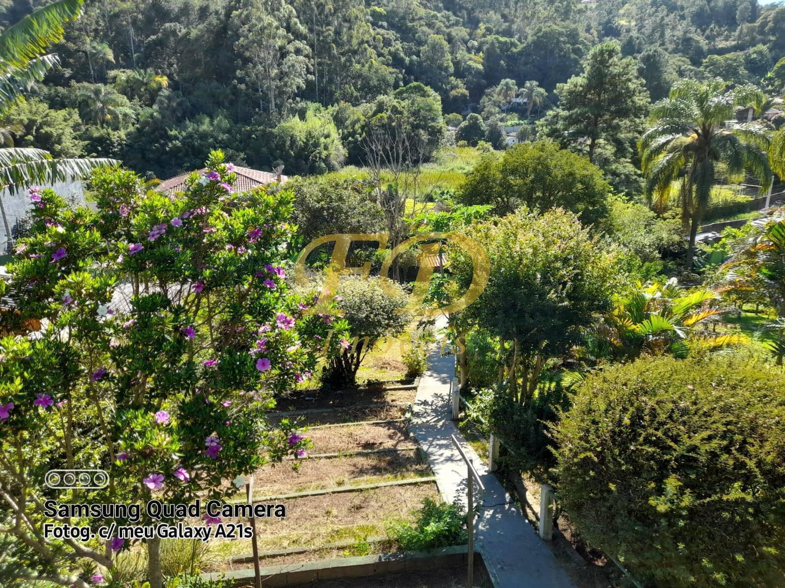 Fazenda à venda com 5 quartos, 300m² - Foto 26