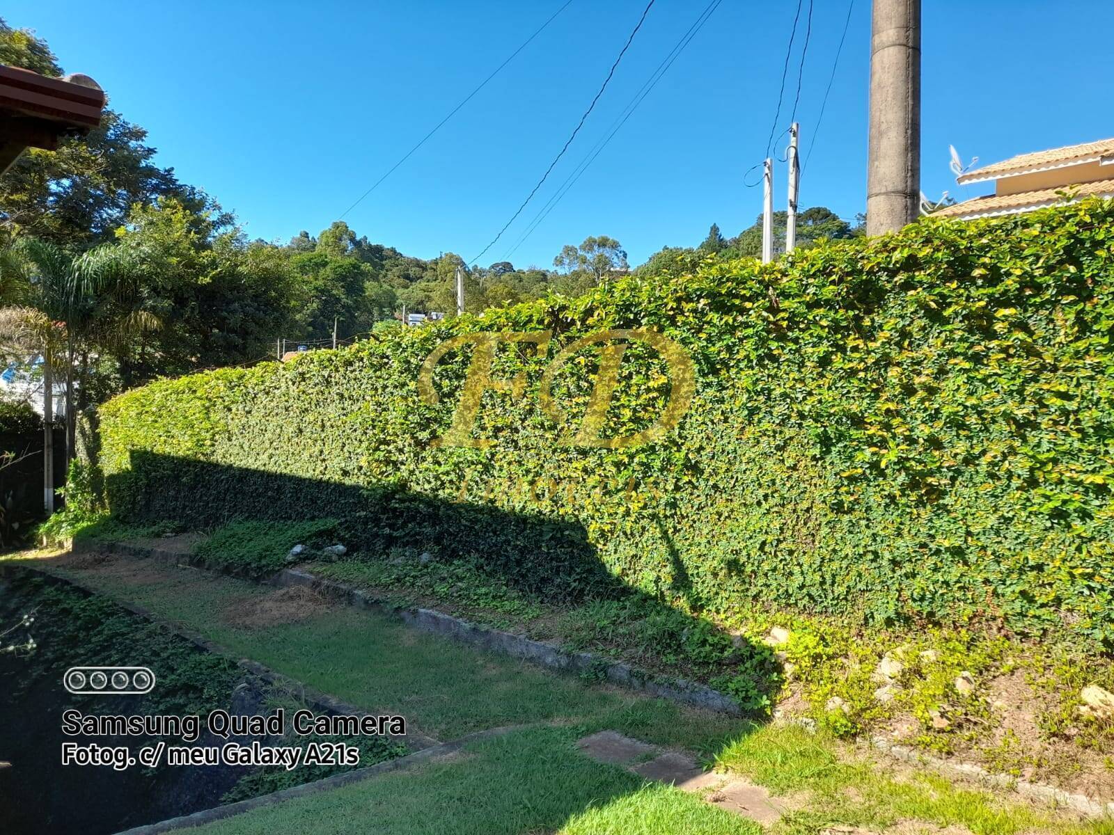 Fazenda à venda com 5 quartos, 300m² - Foto 32