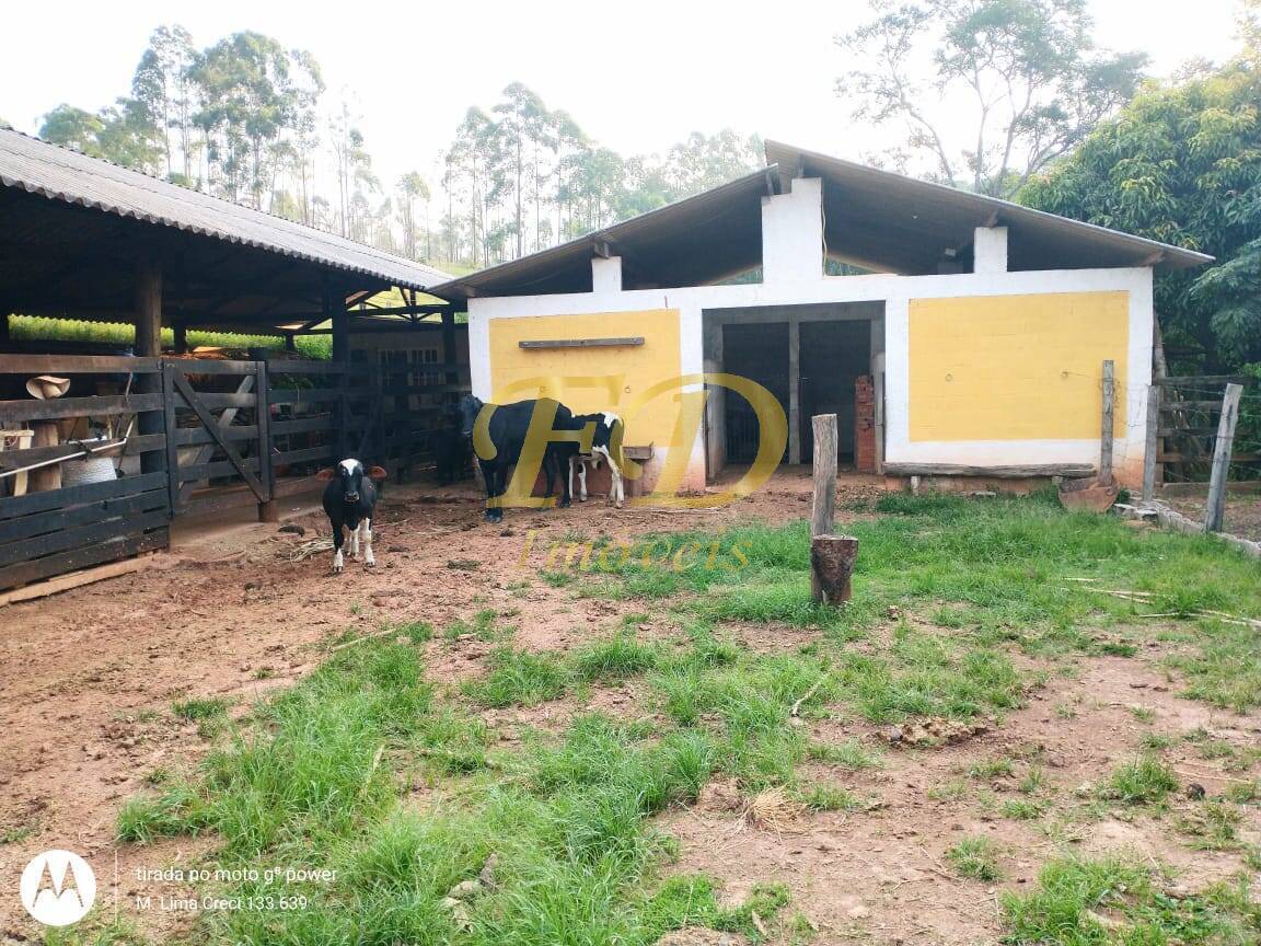 Fazenda à venda com 5 quartos, 500m² - Foto 25