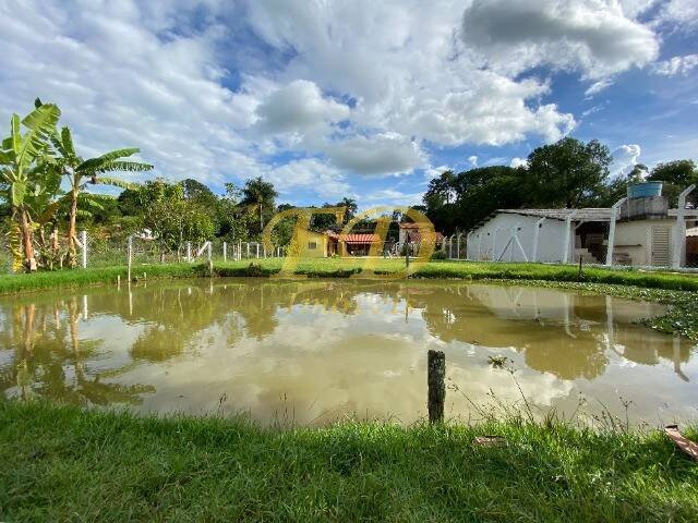 Fazenda à venda com 6 quartos, 350m² - Foto 23