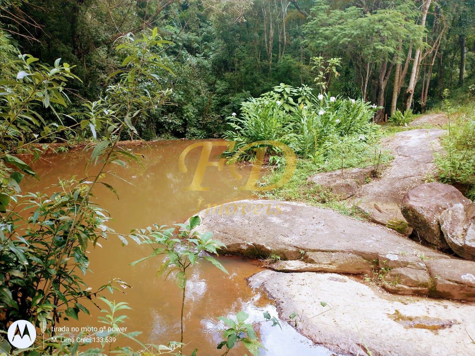 Fazenda à venda com 4 quartos, 500m² - Foto 94