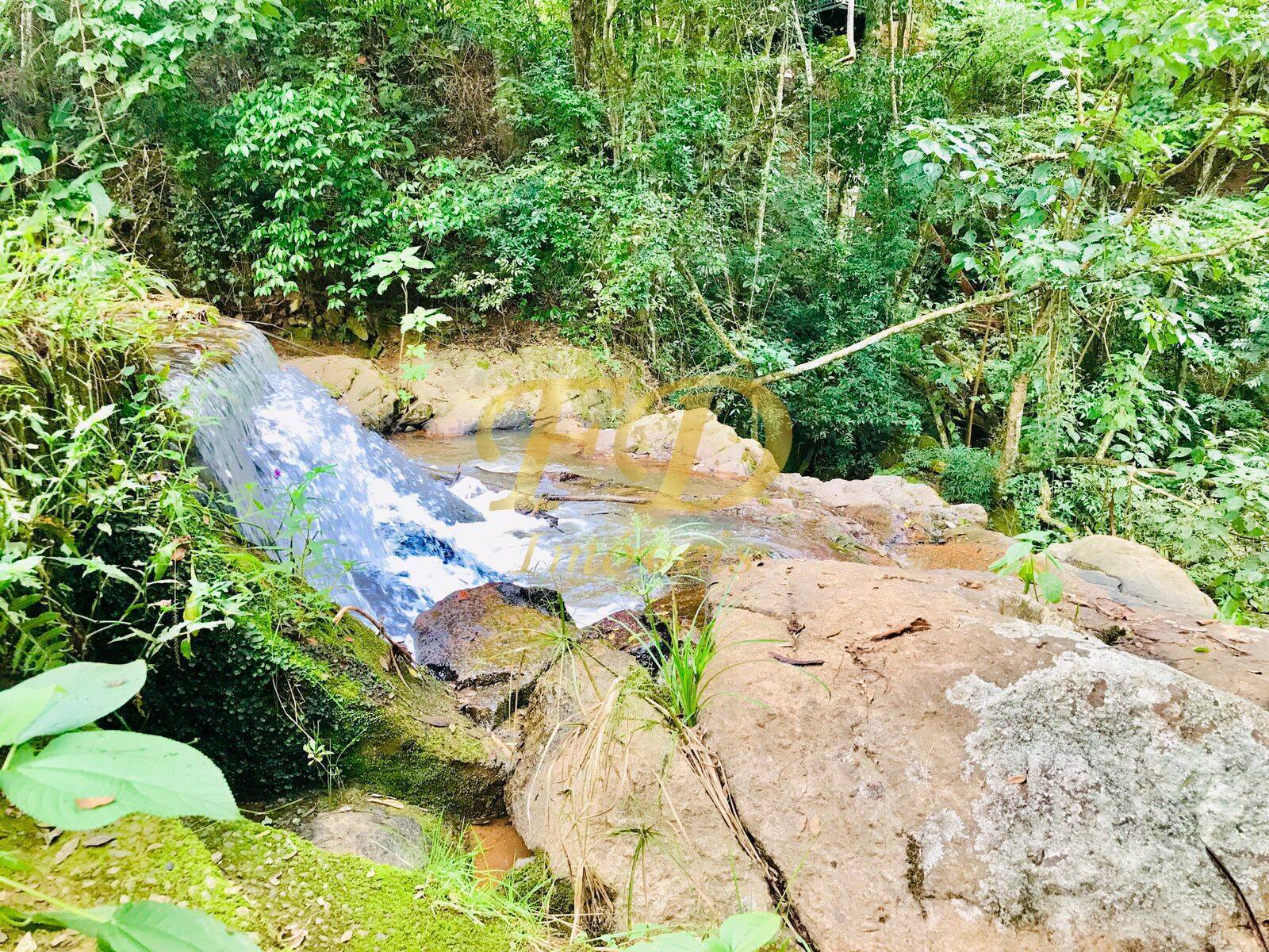 Fazenda à venda com 4 quartos, 500m² - Foto 7