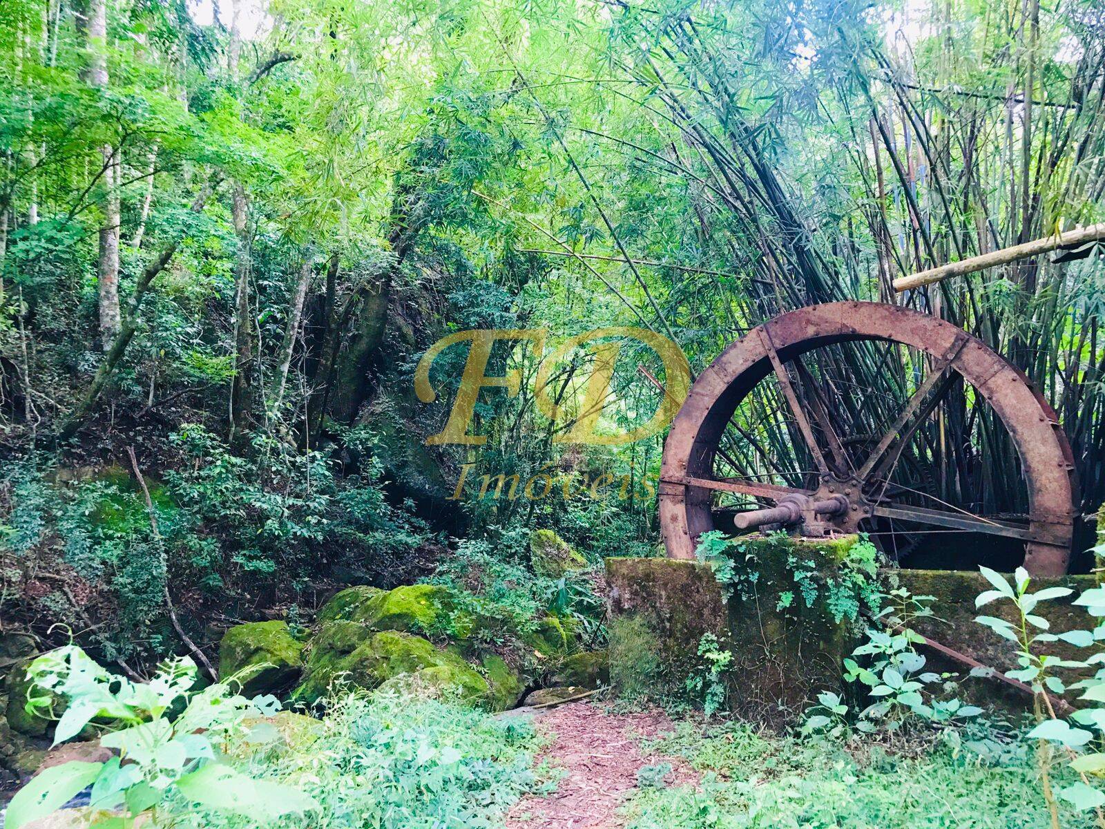 Fazenda à venda com 4 quartos, 500m² - Foto 9