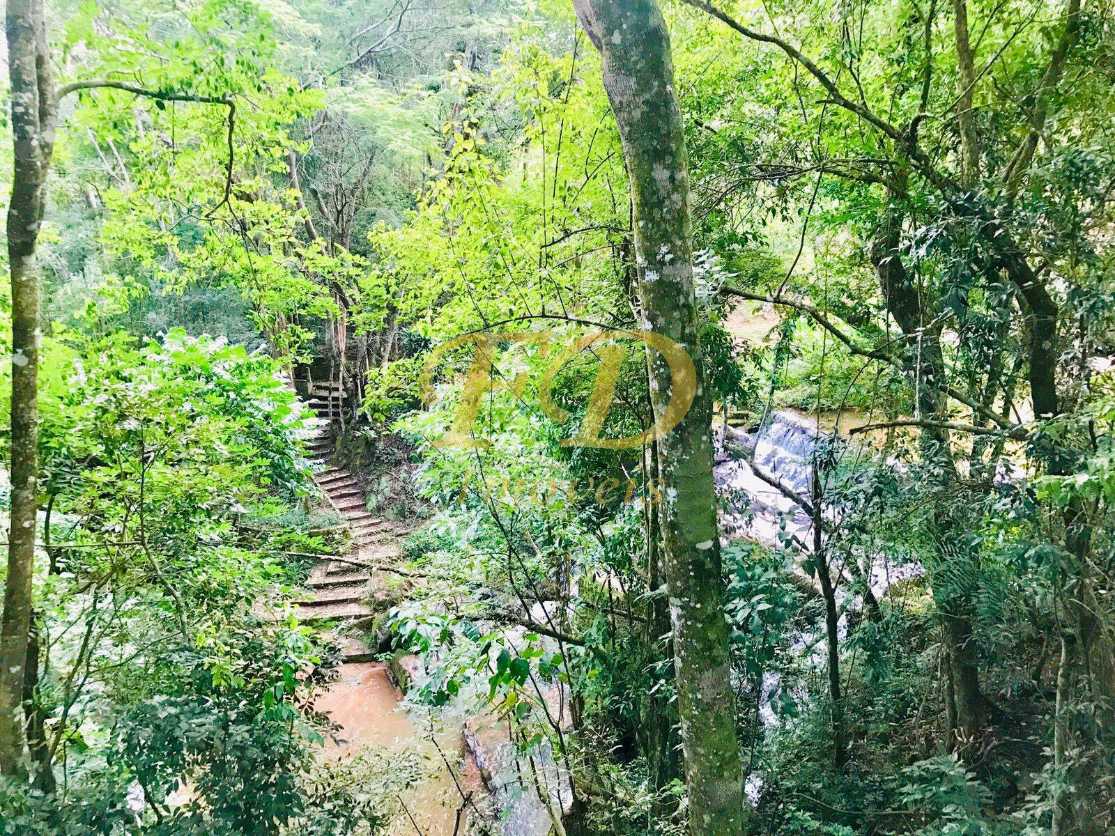 Fazenda à venda com 4 quartos, 500m² - Foto 15