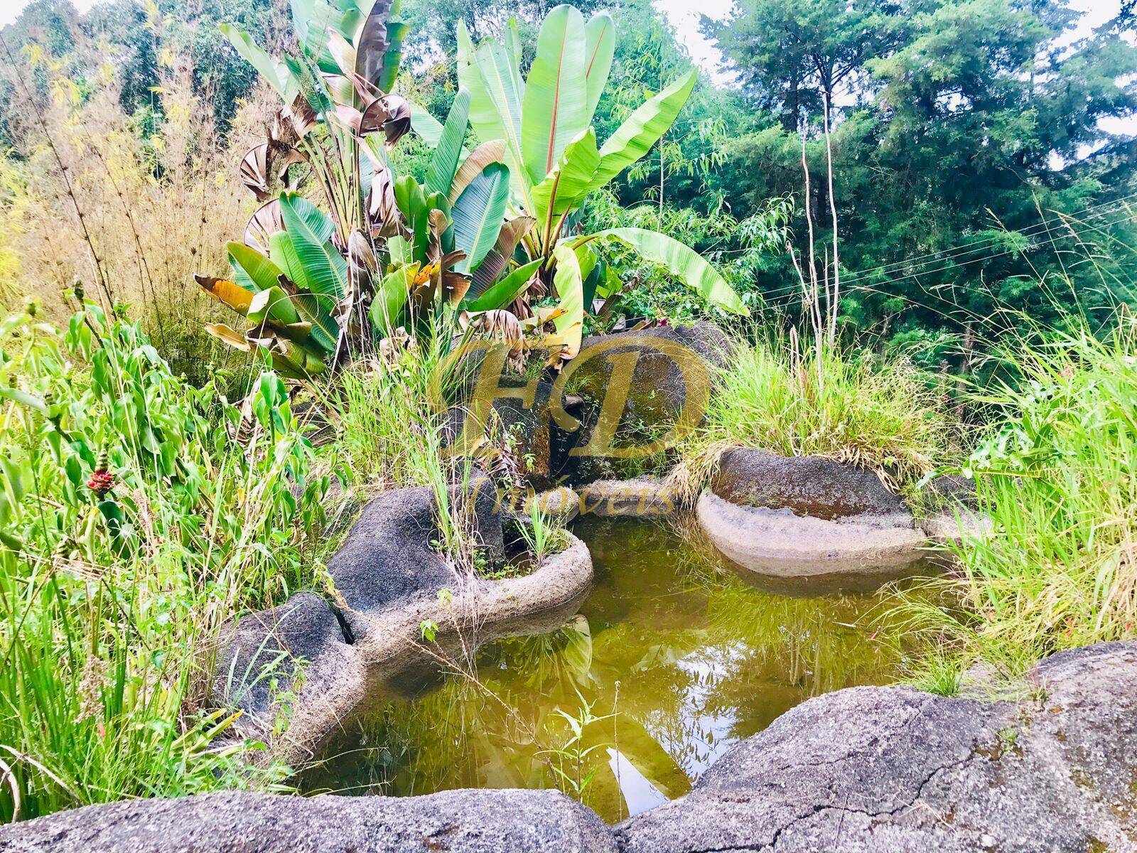 Fazenda à venda com 4 quartos, 500m² - Foto 18