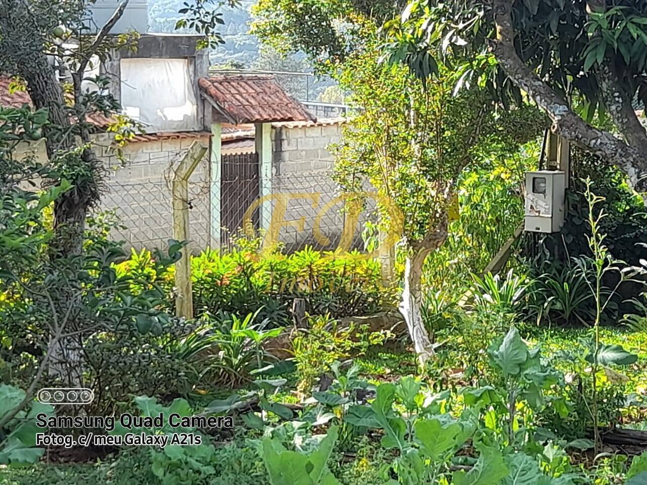 Fazenda à venda com 3 quartos, 180m² - Foto 28