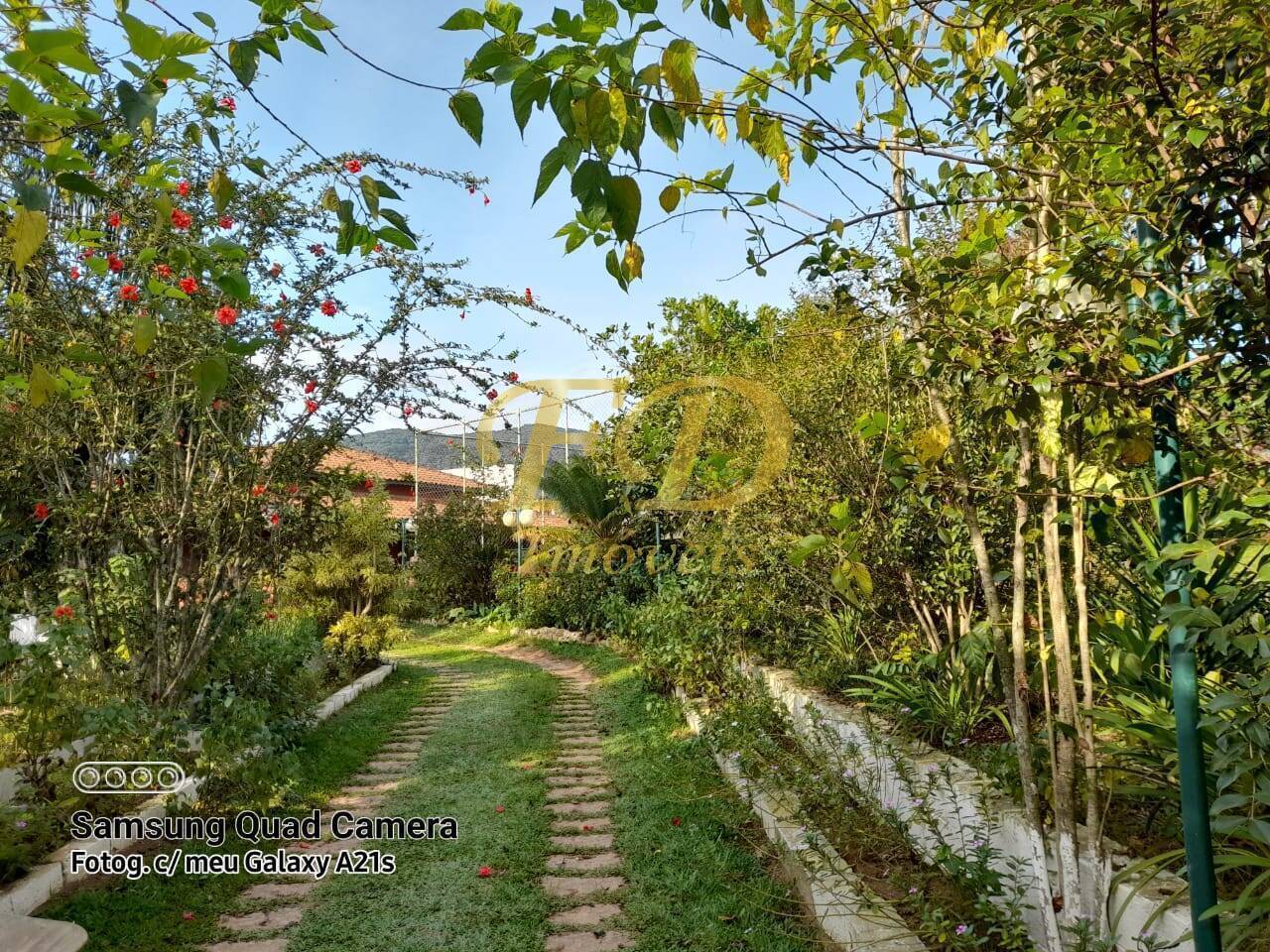 Fazenda à venda com 3 quartos, 180m² - Foto 32