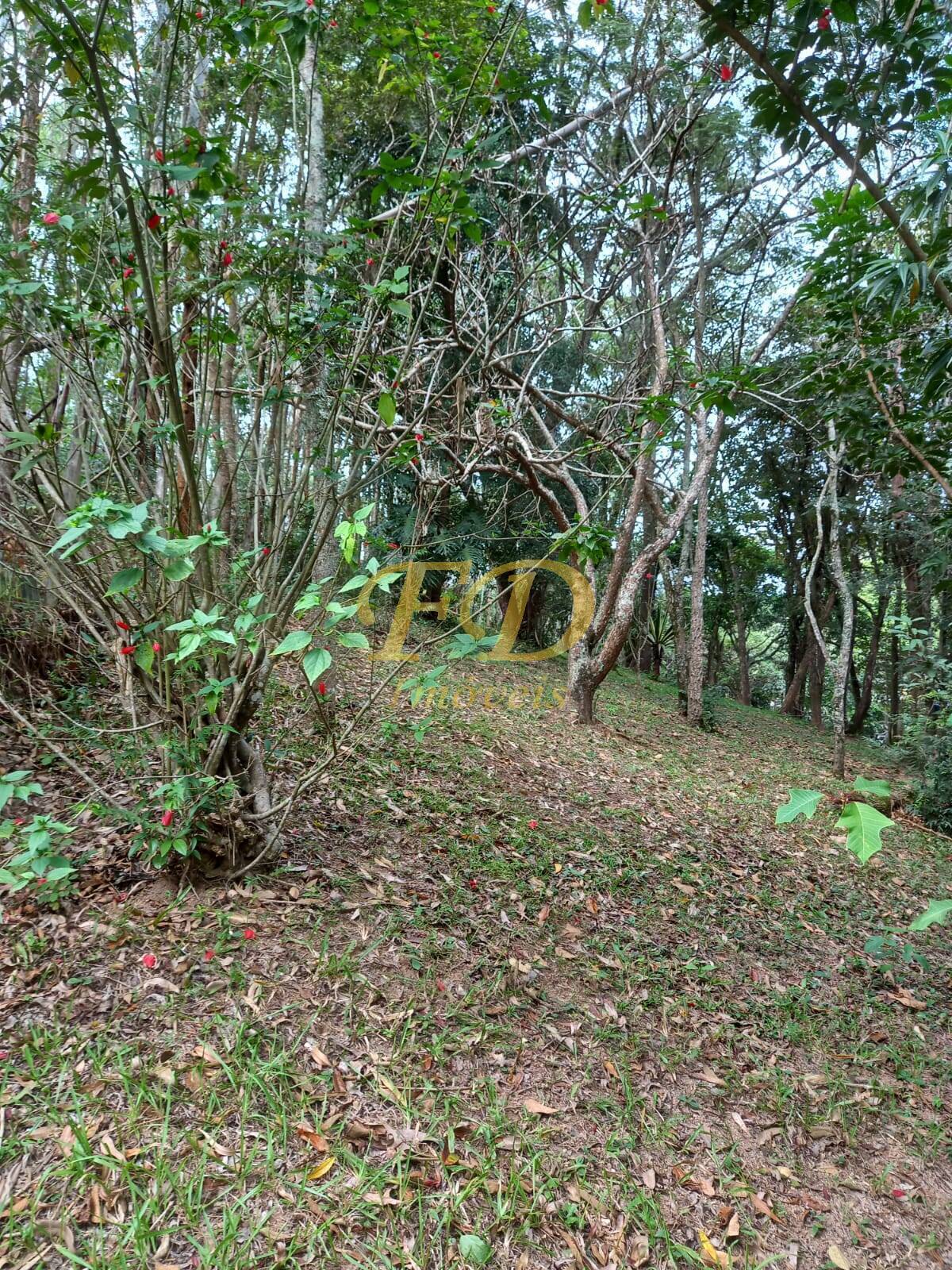 Fazenda à venda com 3 quartos, 150m² - Foto 32