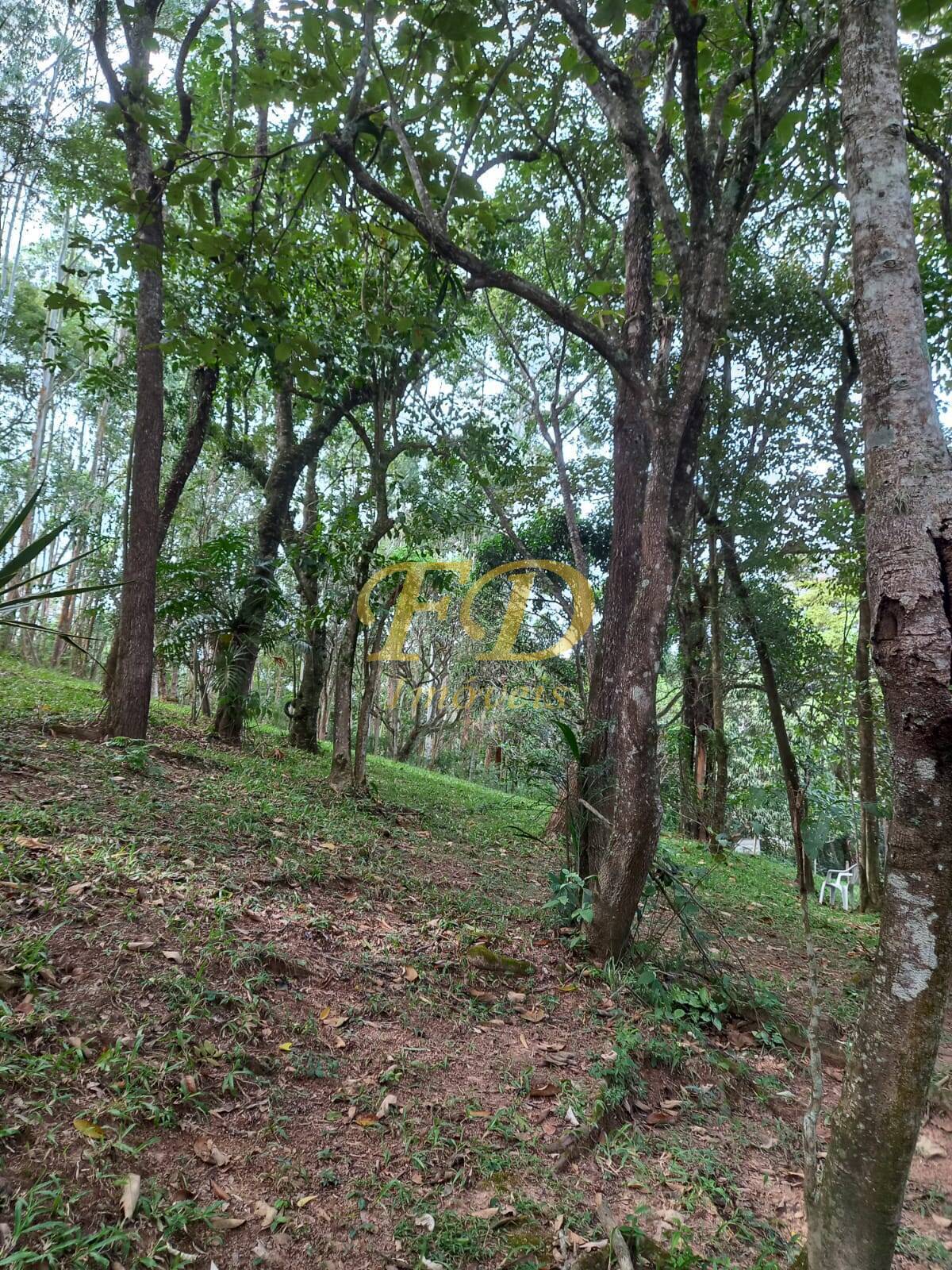 Fazenda à venda com 3 quartos, 150m² - Foto 34