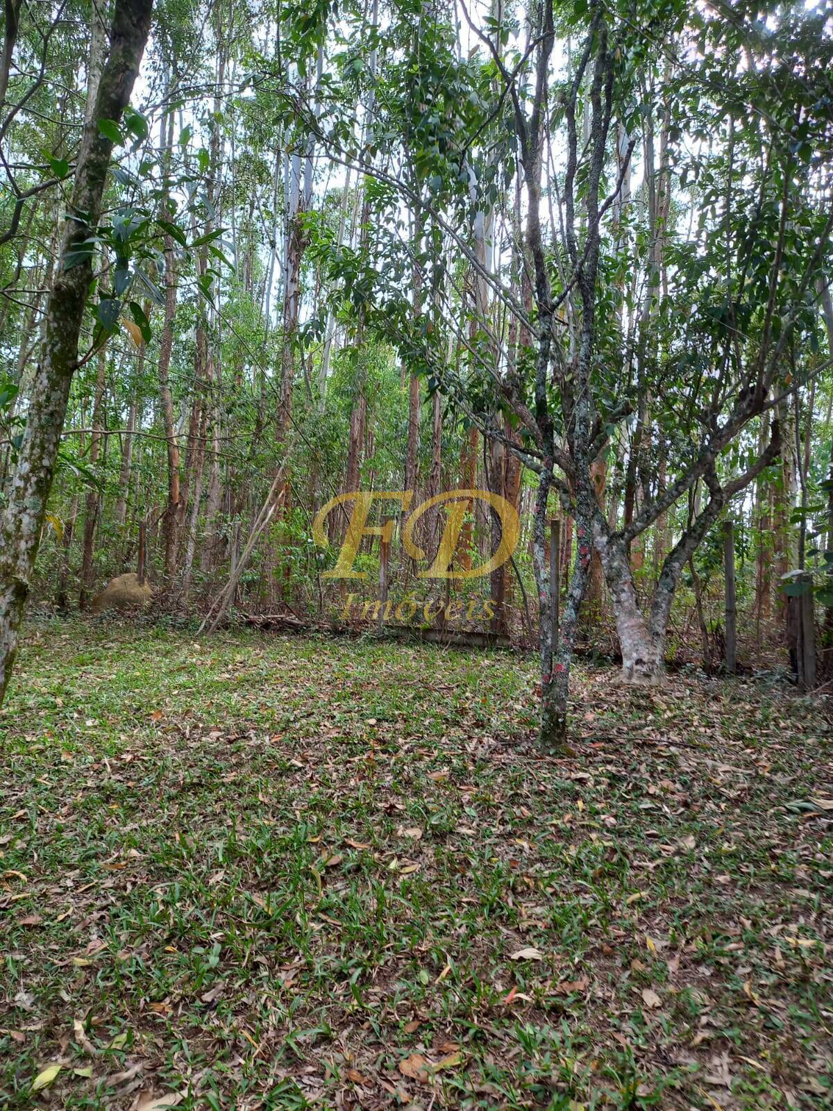 Fazenda à venda com 3 quartos, 150m² - Foto 37