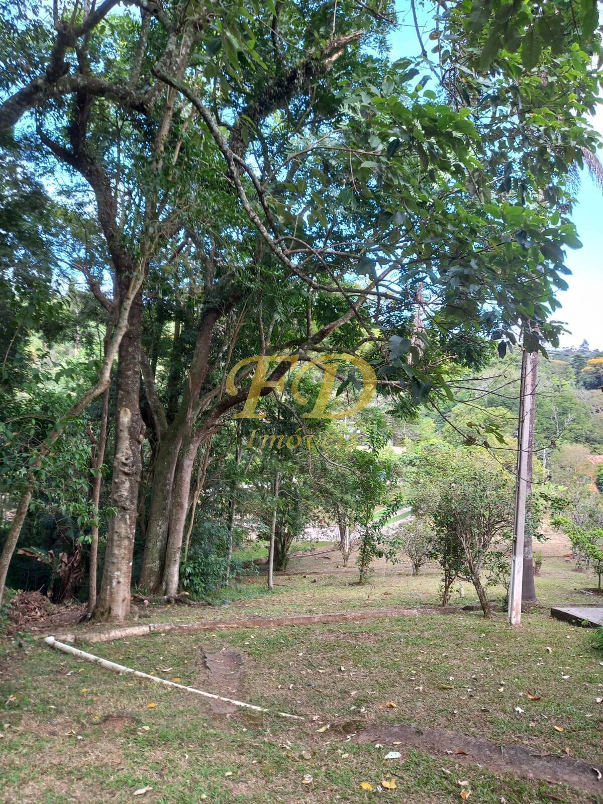 Fazenda à venda com 3 quartos, 150m² - Foto 42