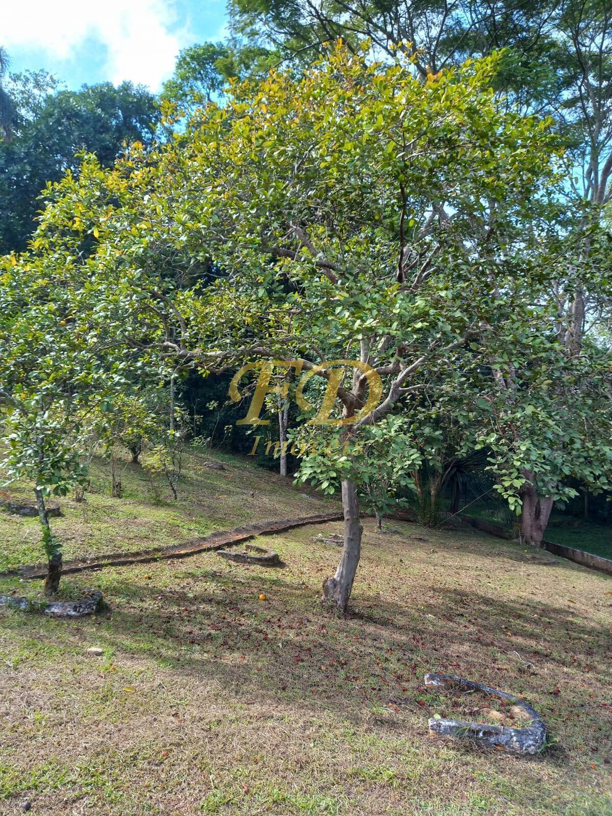 Fazenda à venda com 3 quartos, 150m² - Foto 43