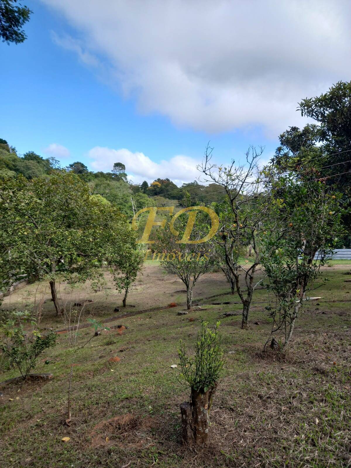 Fazenda à venda com 3 quartos, 150m² - Foto 46