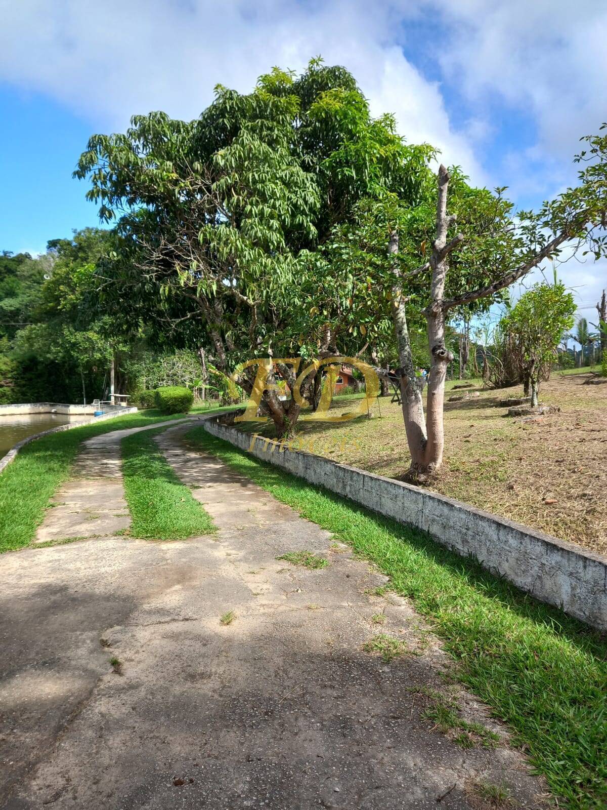 Fazenda à venda com 3 quartos, 150m² - Foto 45