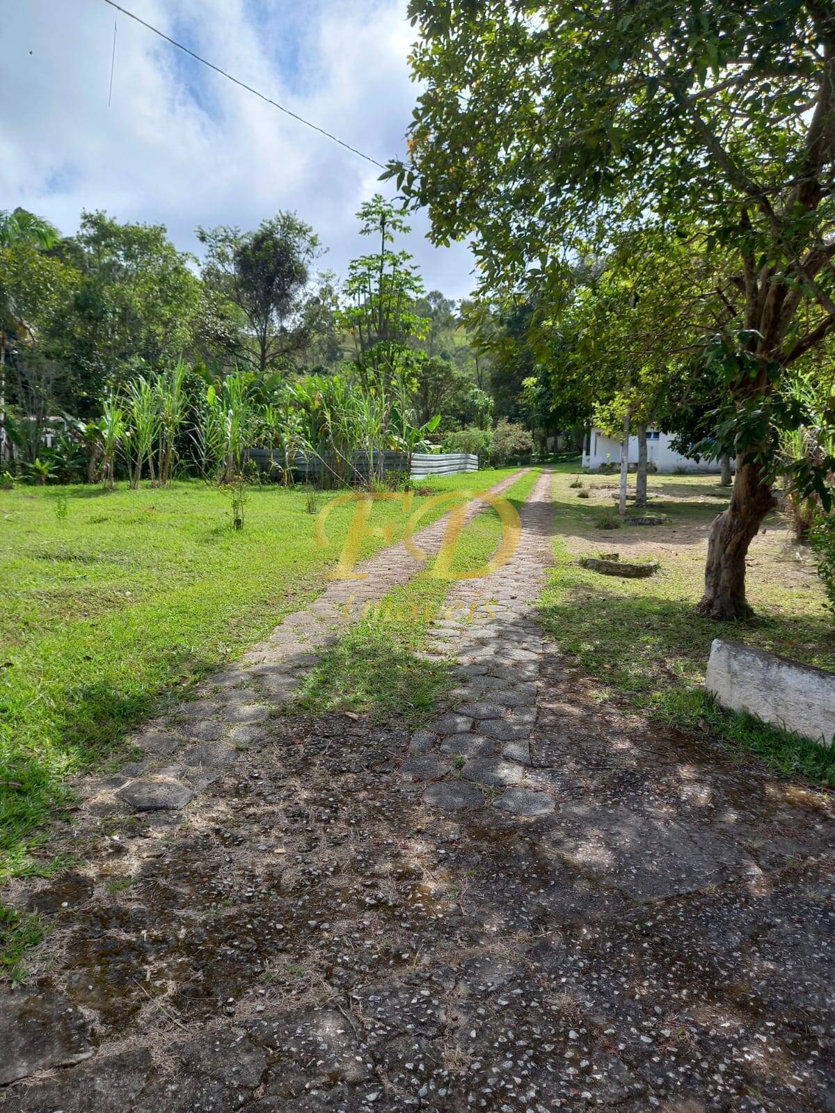 Fazenda à venda com 3 quartos, 150m² - Foto 52