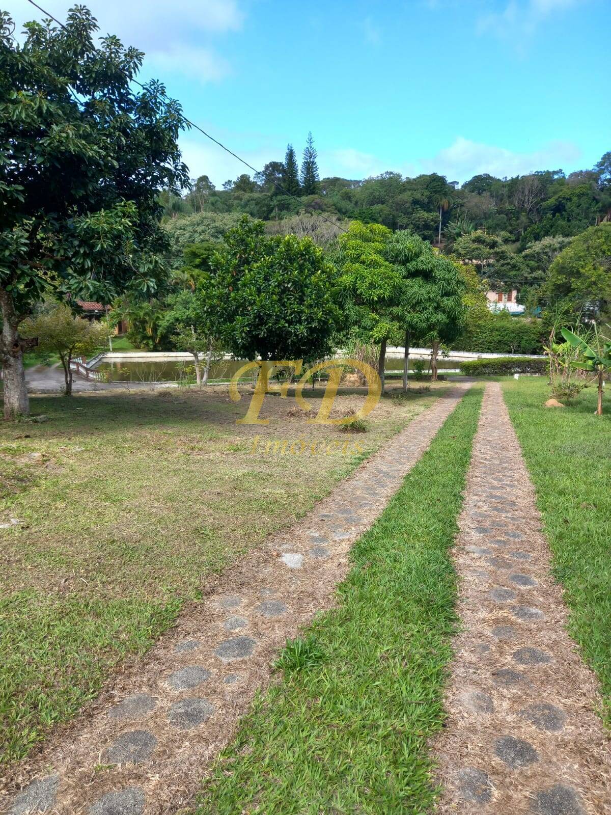 Fazenda à venda com 3 quartos, 150m² - Foto 54