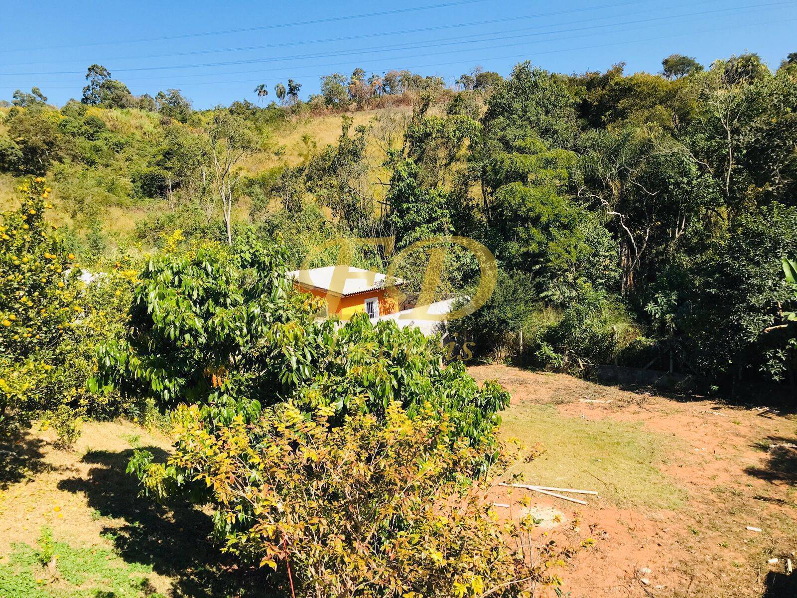 Fazenda à venda com 3 quartos, 220m² - Foto 37