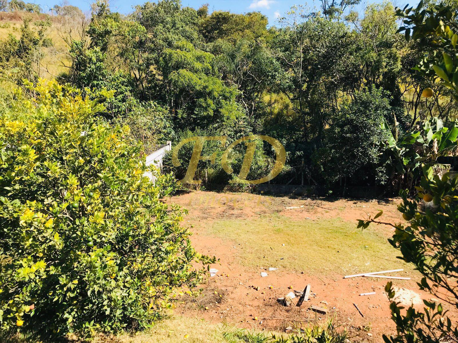 Fazenda à venda com 3 quartos, 220m² - Foto 38