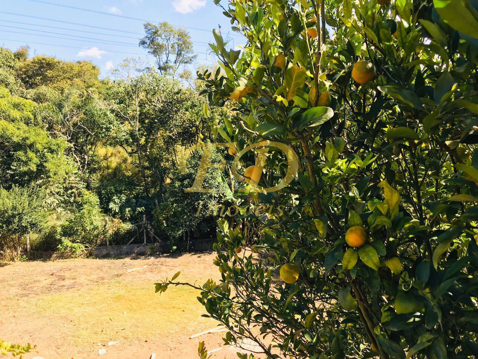 Fazenda à venda com 3 quartos, 220m² - Foto 41