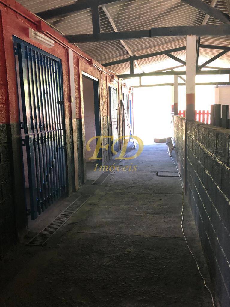 Fazenda à venda com 5 quartos, 1250m² - Foto 49