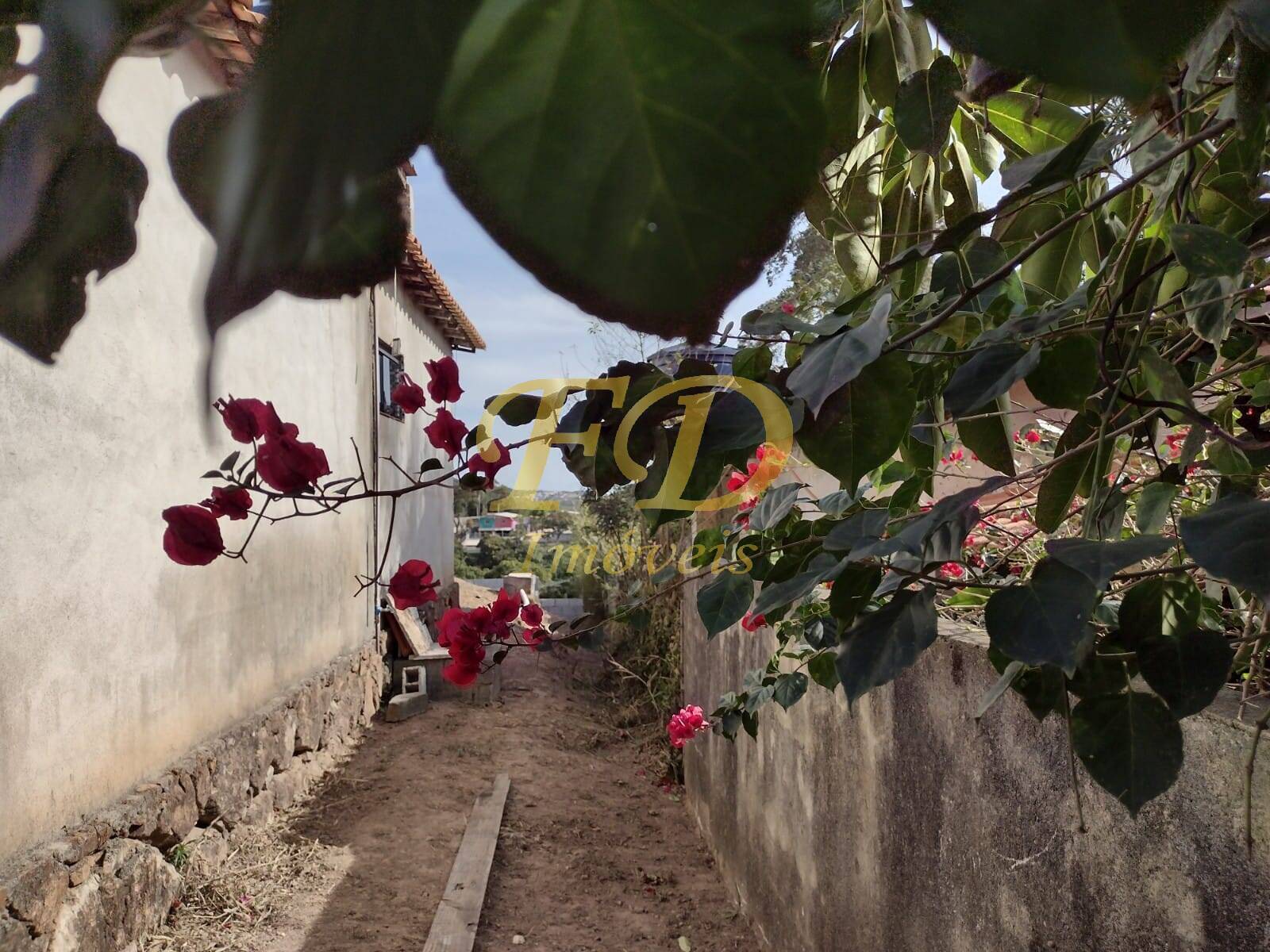 Casa à venda com 3 quartos, 300m² - Foto 11