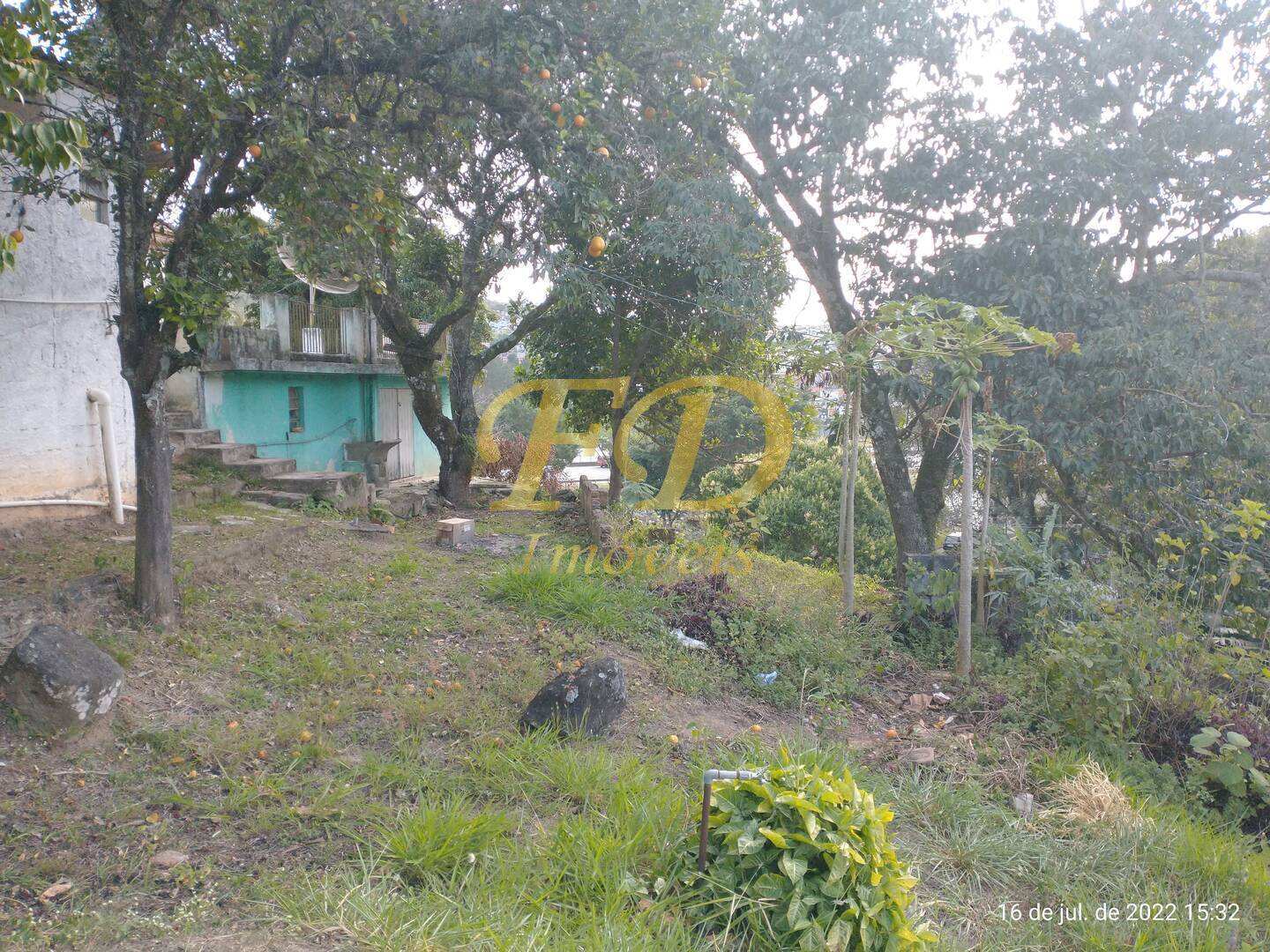 Fazenda à venda com 3 quartos, 350m² - Foto 6