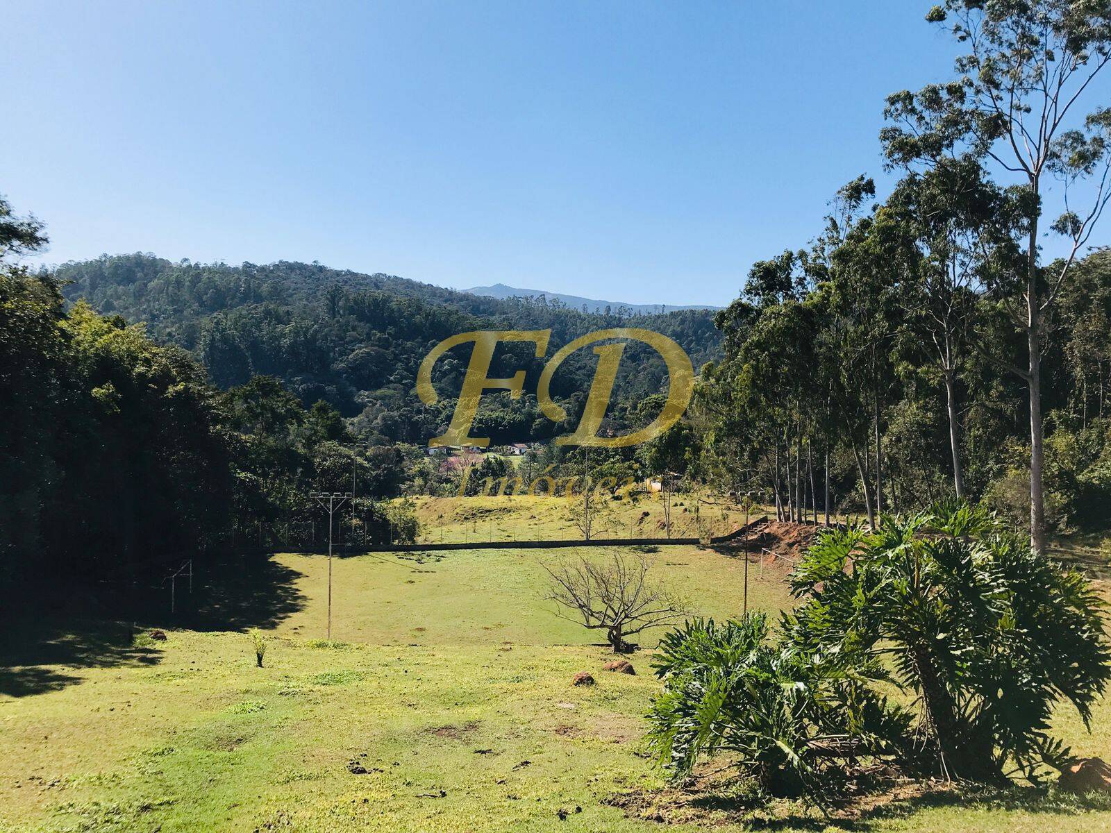 Fazenda à venda com 3 quartos, 1000m² - Foto 10