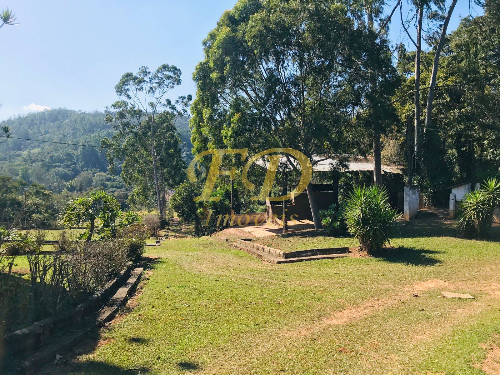 Fazenda à venda com 3 quartos, 1000m² - Foto 15