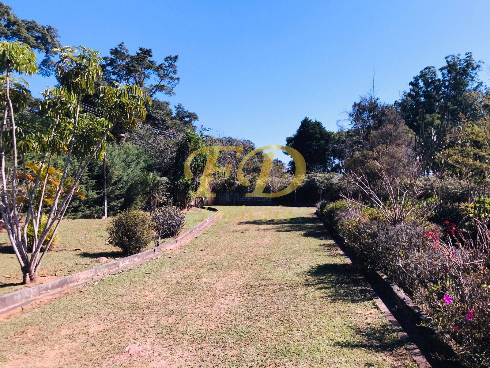 Fazenda à venda com 3 quartos, 1000m² - Foto 18