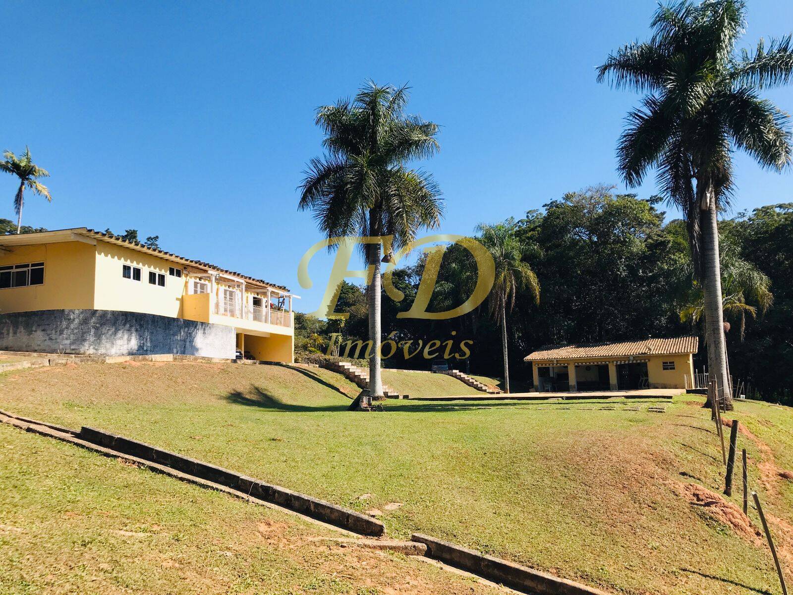 Fazenda à venda com 3 quartos, 1000m² - Foto 5