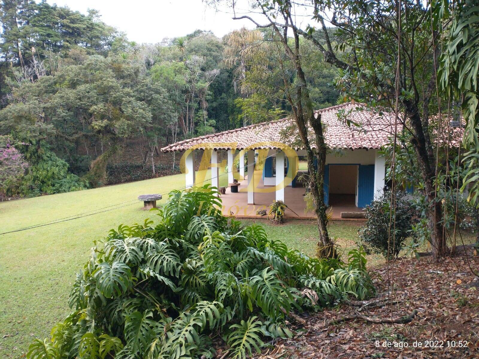 Fazenda à venda com 5 quartos, 500m² - Foto 4