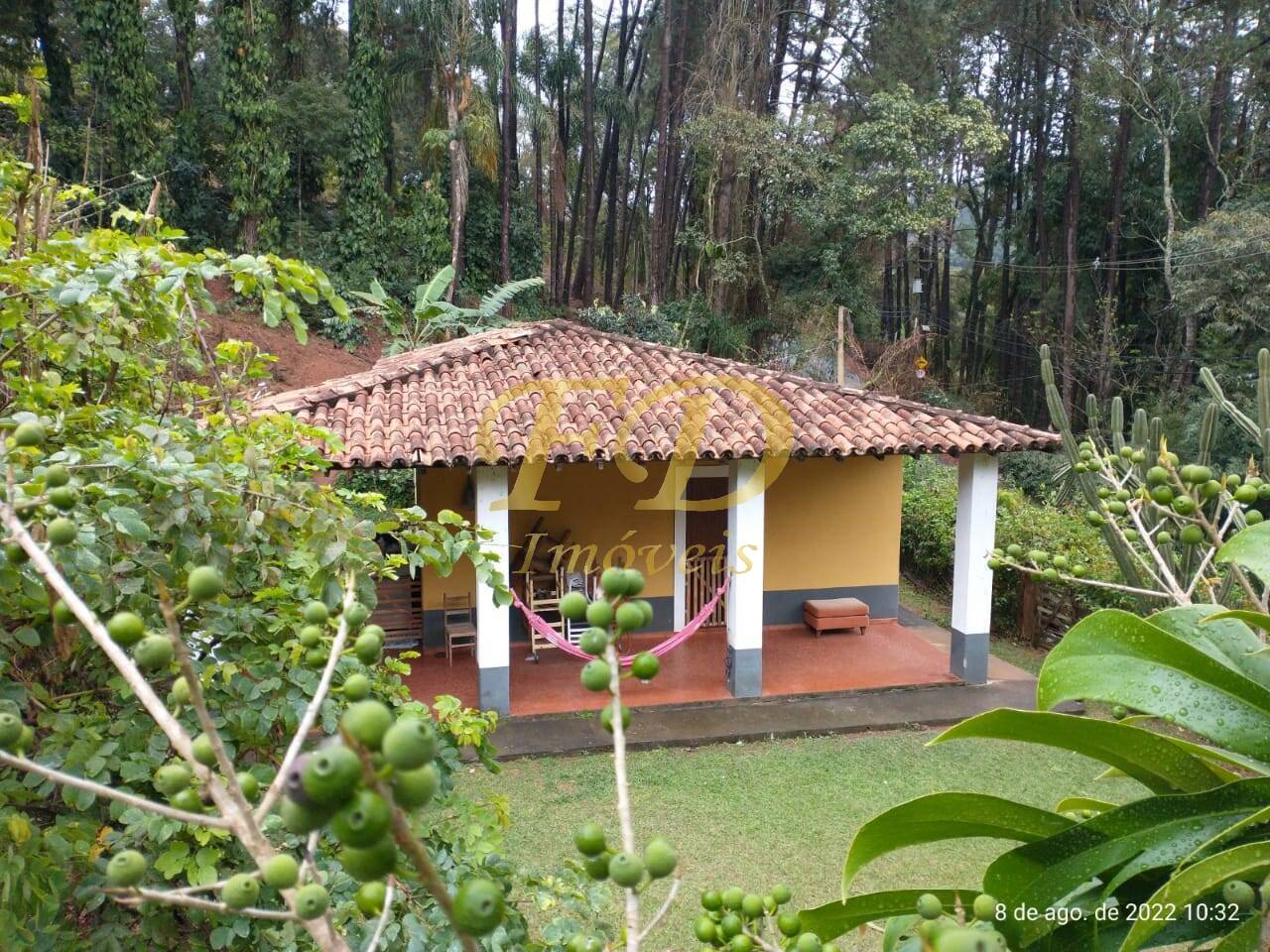 Fazenda à venda com 5 quartos, 500m² - Foto 22