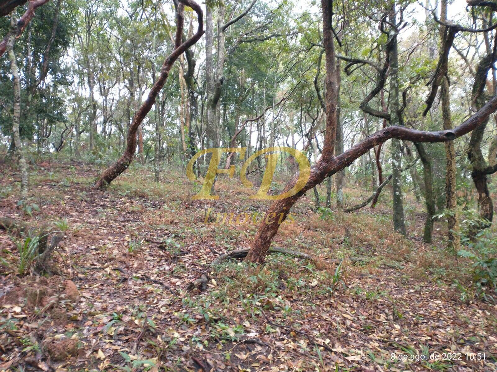 Fazenda à venda com 5 quartos, 500m² - Foto 54