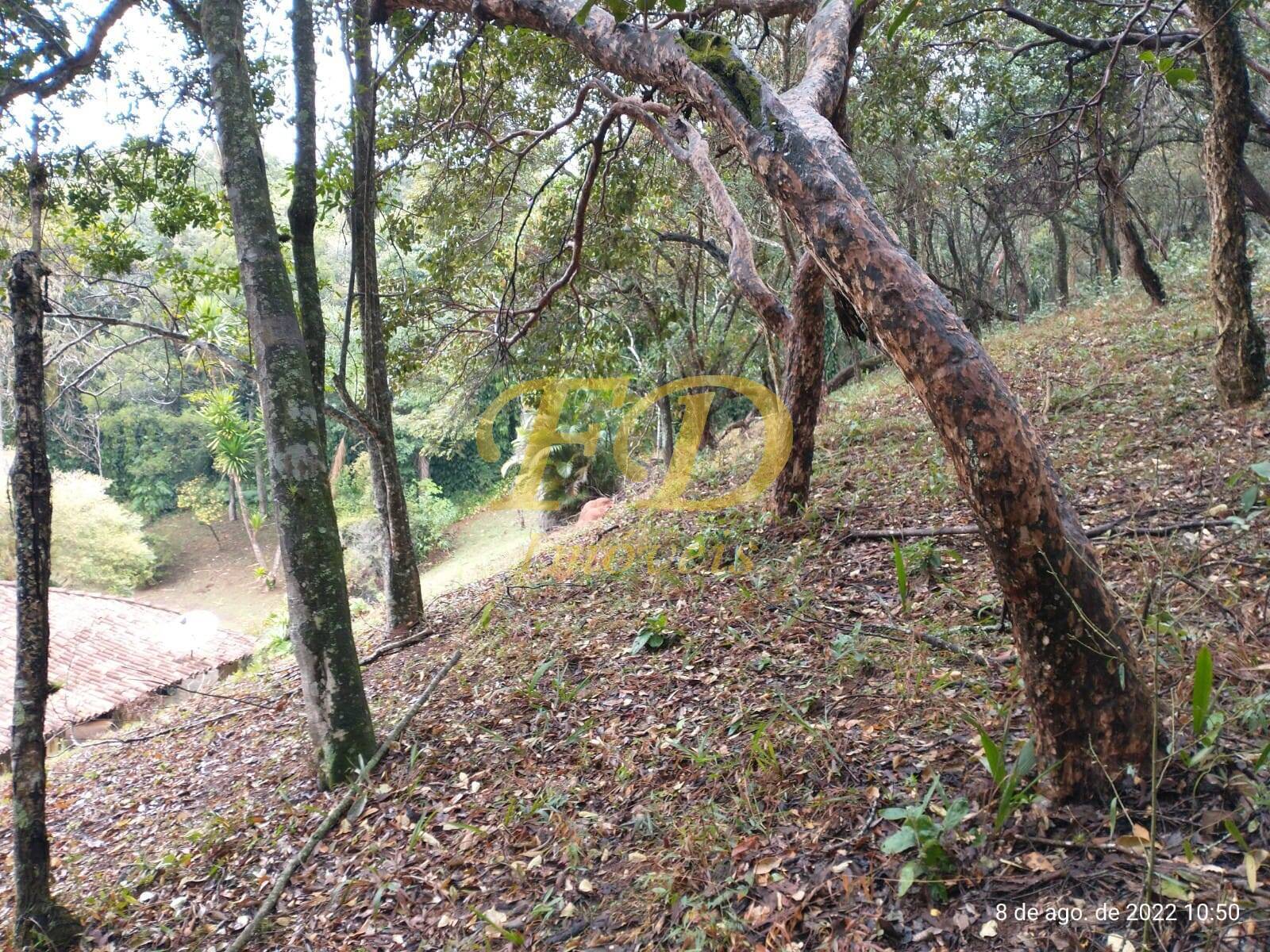 Fazenda à venda com 5 quartos, 500m² - Foto 57