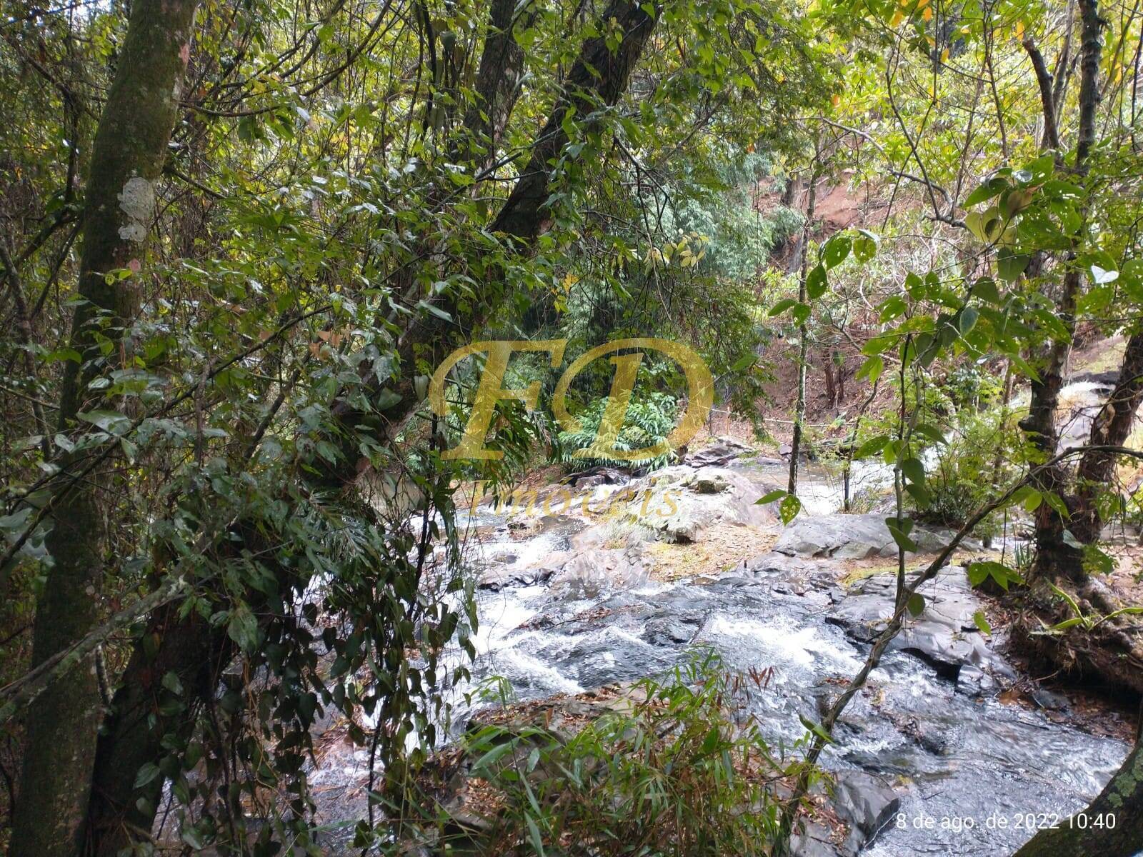 Fazenda à venda com 5 quartos, 500m² - Foto 58