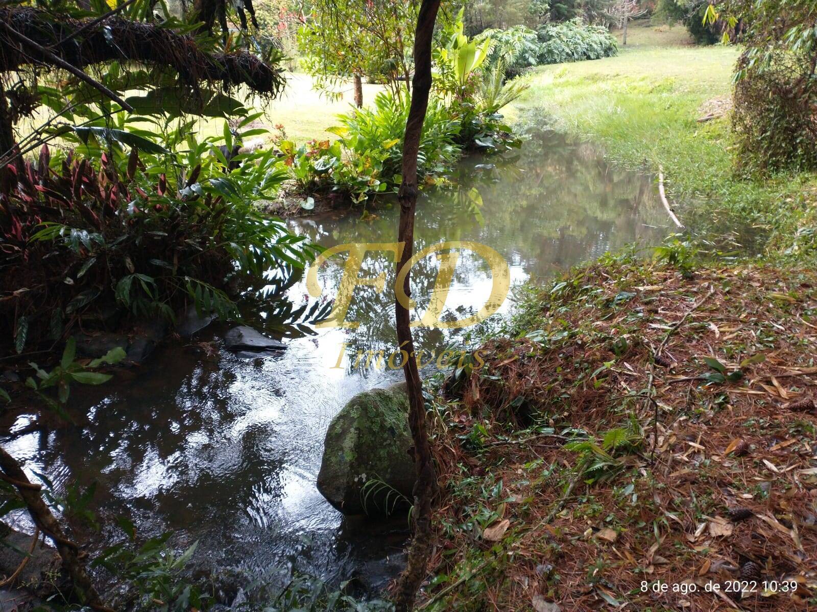 Fazenda à venda com 5 quartos, 500m² - Foto 60