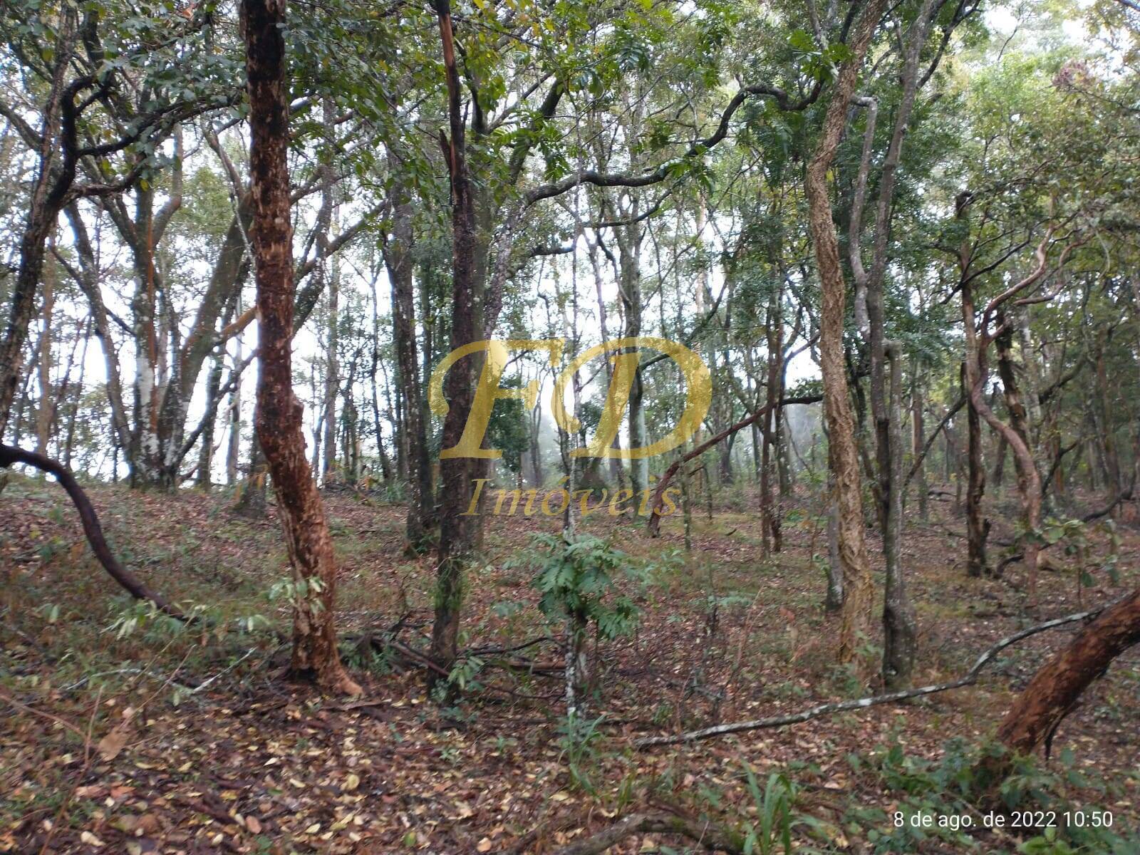 Fazenda à venda com 5 quartos, 500m² - Foto 61