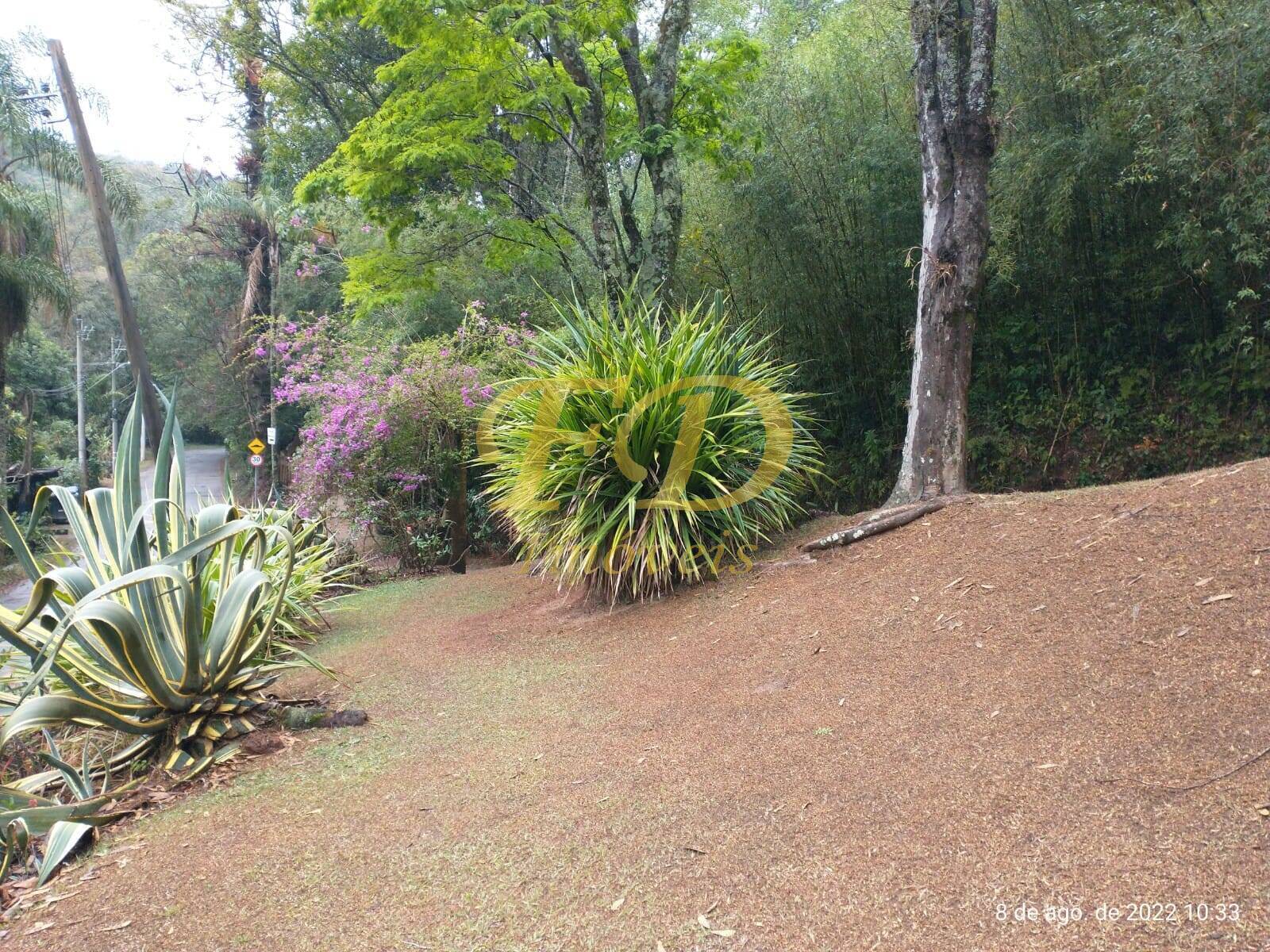 Fazenda à venda com 5 quartos, 500m² - Foto 64