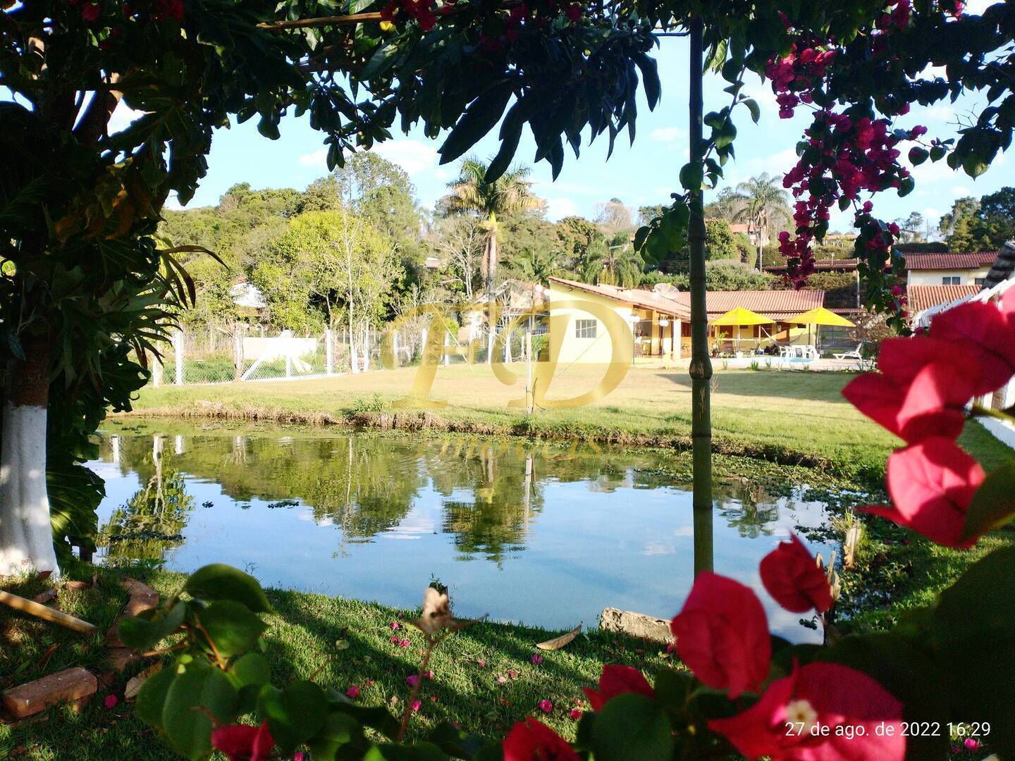 Fazenda à venda com 6 quartos, 350m² - Foto 3