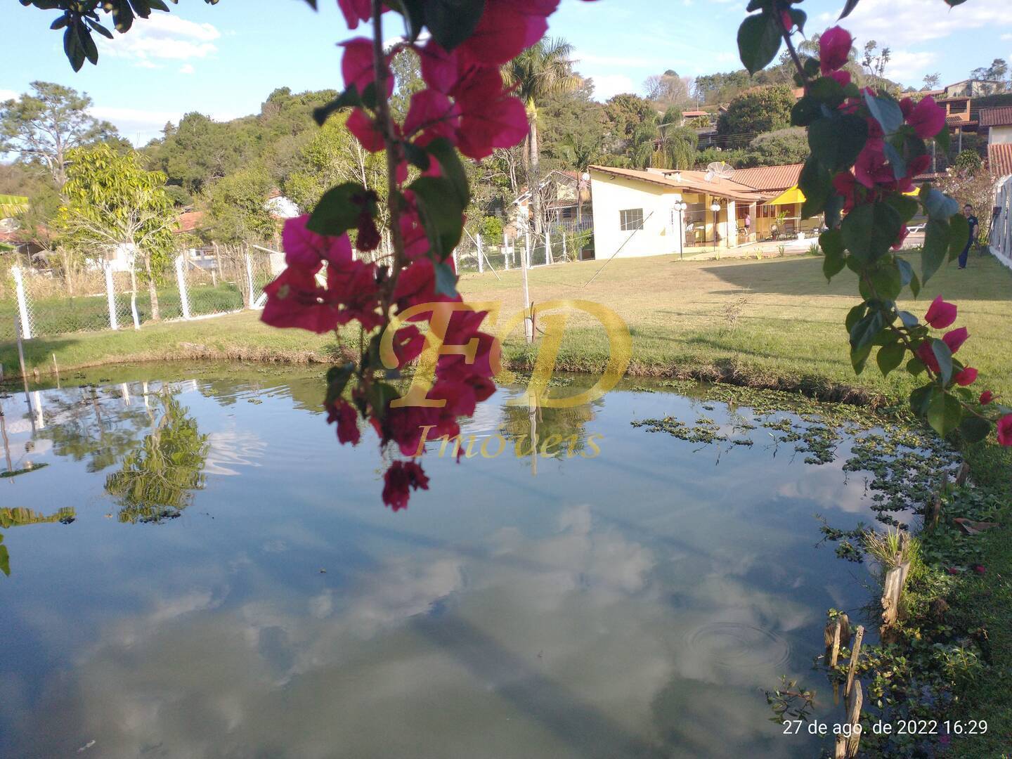 Fazenda à venda com 6 quartos, 350m² - Foto 6