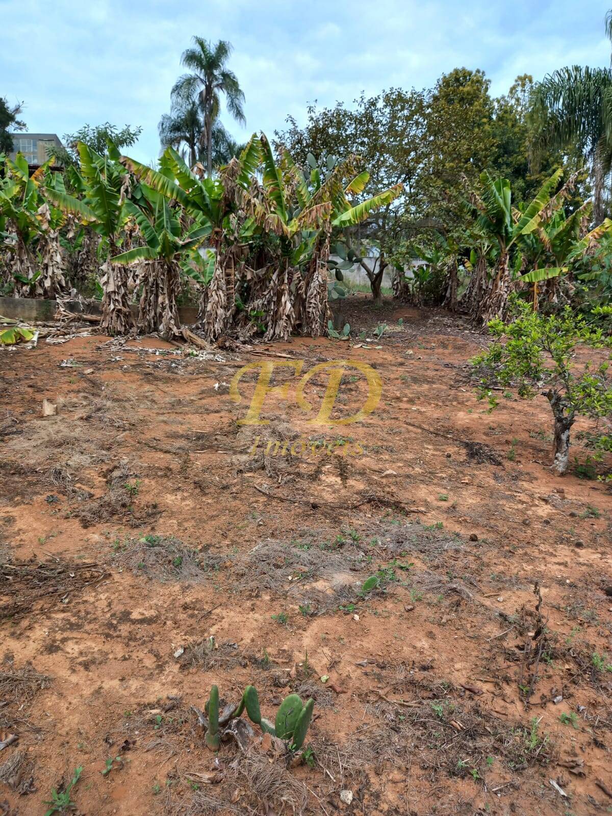 Prédio Inteiro à venda - Foto 5