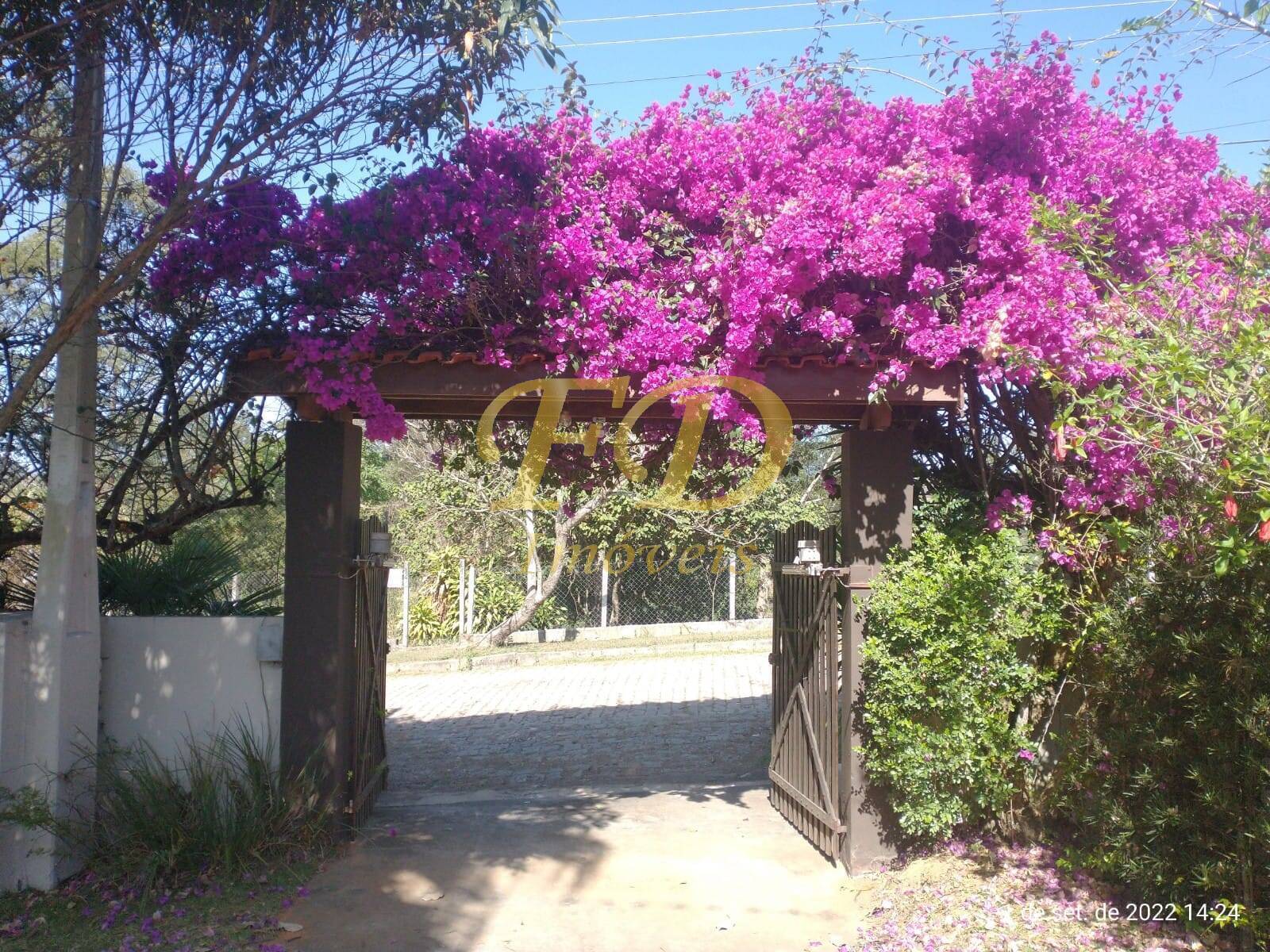 Fazenda à venda com 4 quartos, 400m² - Foto 7