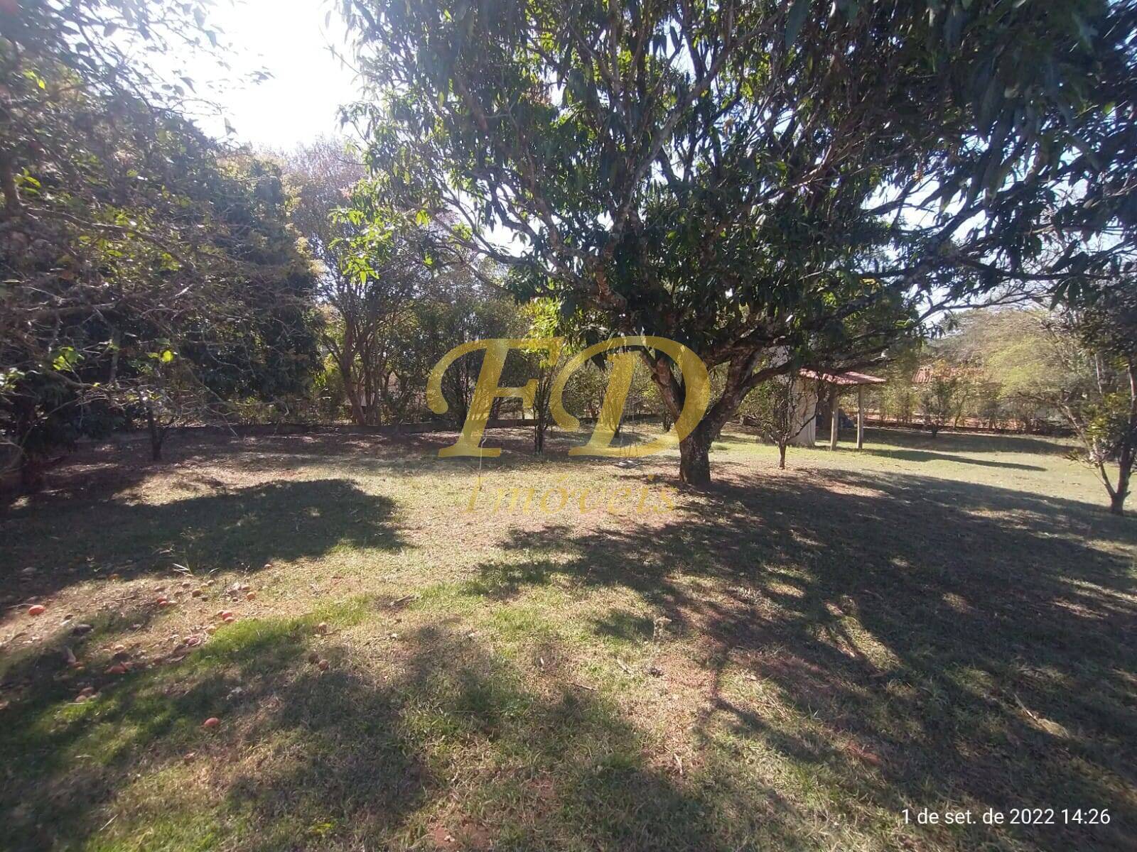 Fazenda à venda com 4 quartos, 400m² - Foto 16