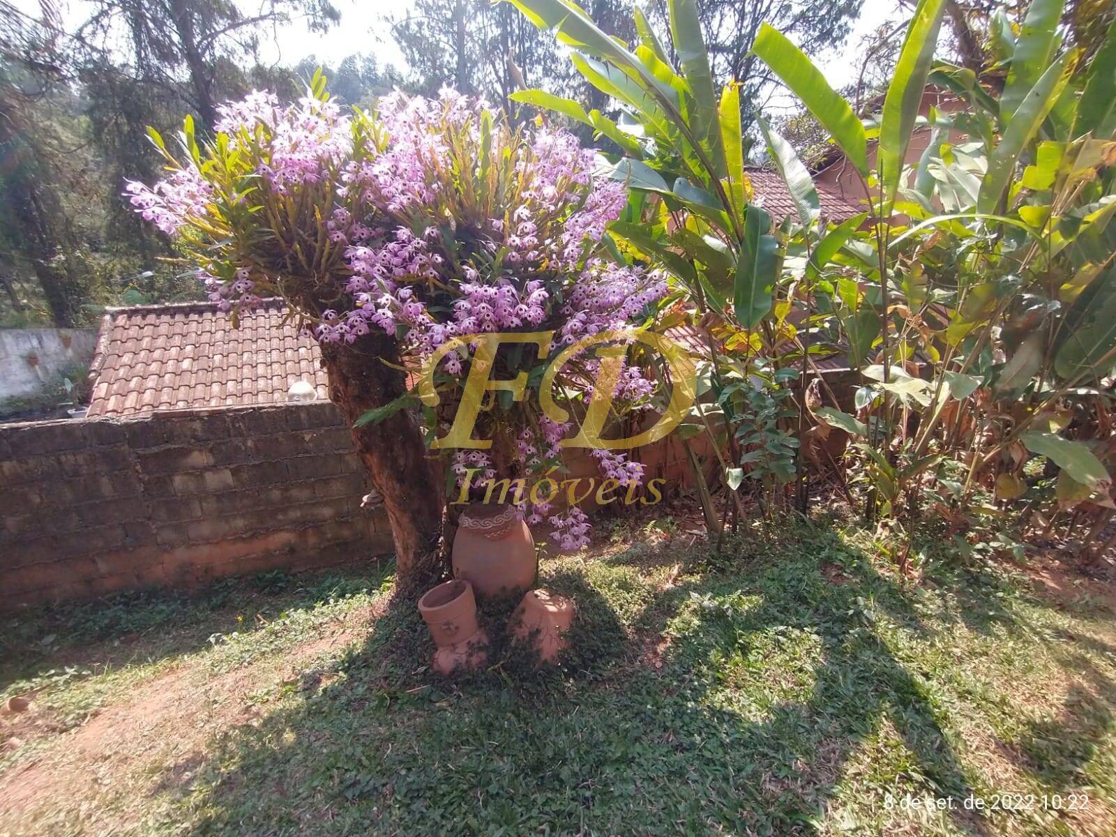 Fazenda à venda com 2 quartos, 1303m² - Foto 45