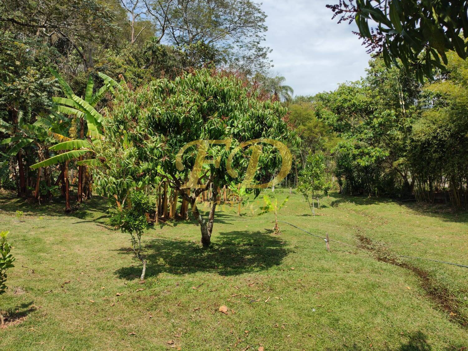 Fazenda à venda com 2 quartos, 250m² - Foto 23