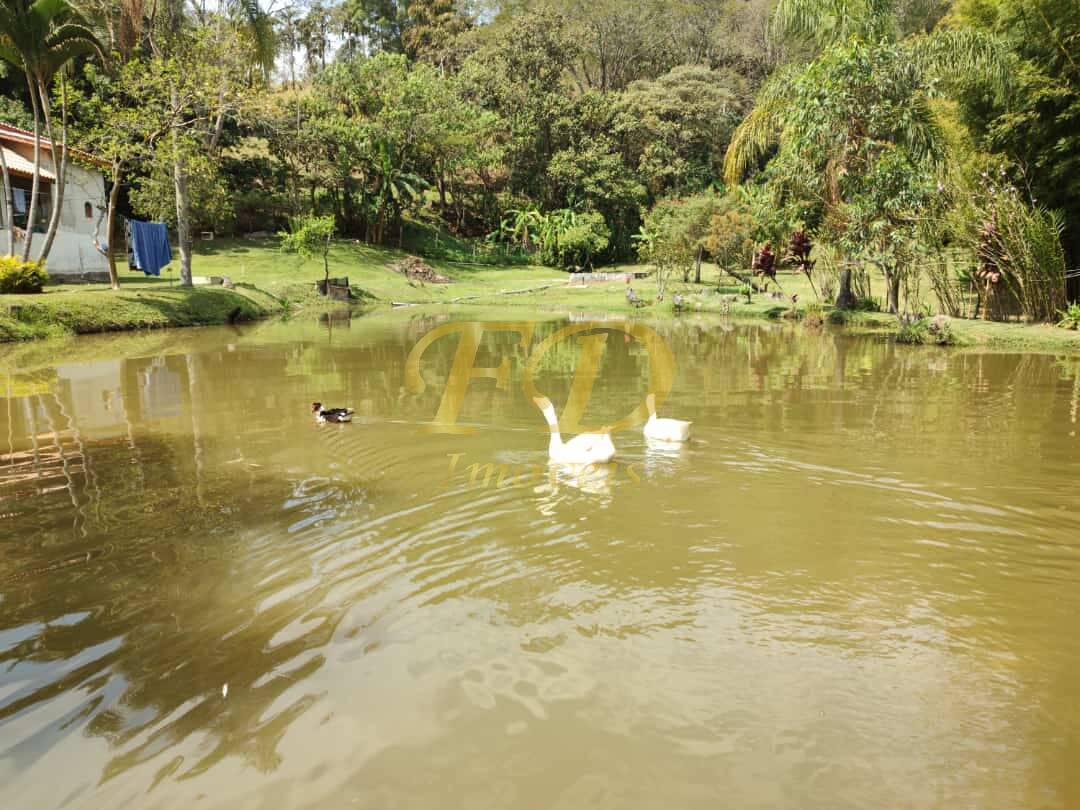 Fazenda à venda com 2 quartos, 250m² - Foto 51