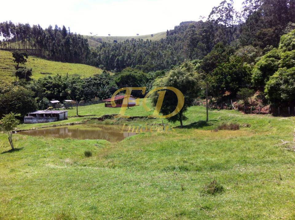 Terreno à venda - Foto 4